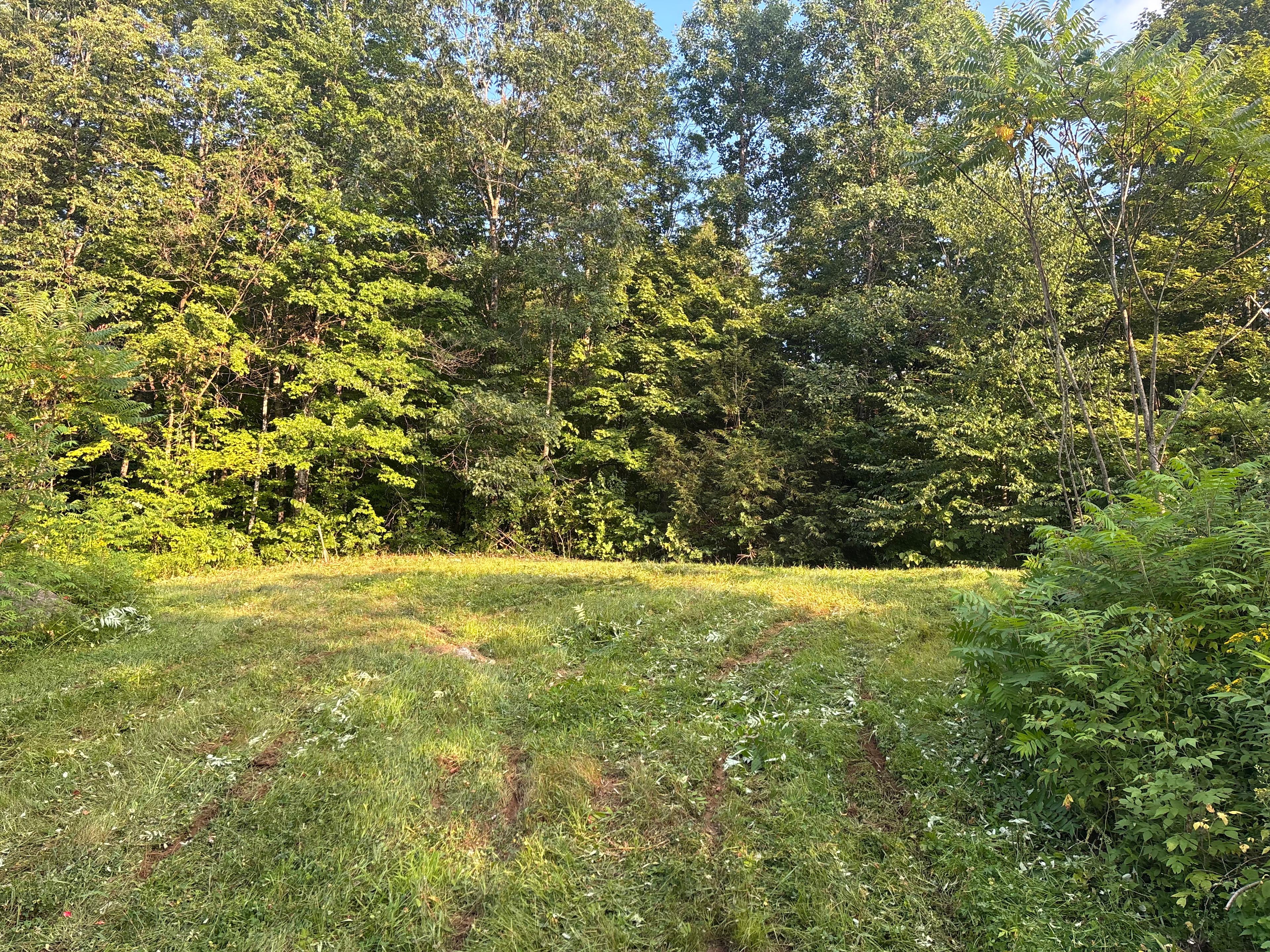 Ascutney Basin Camping
