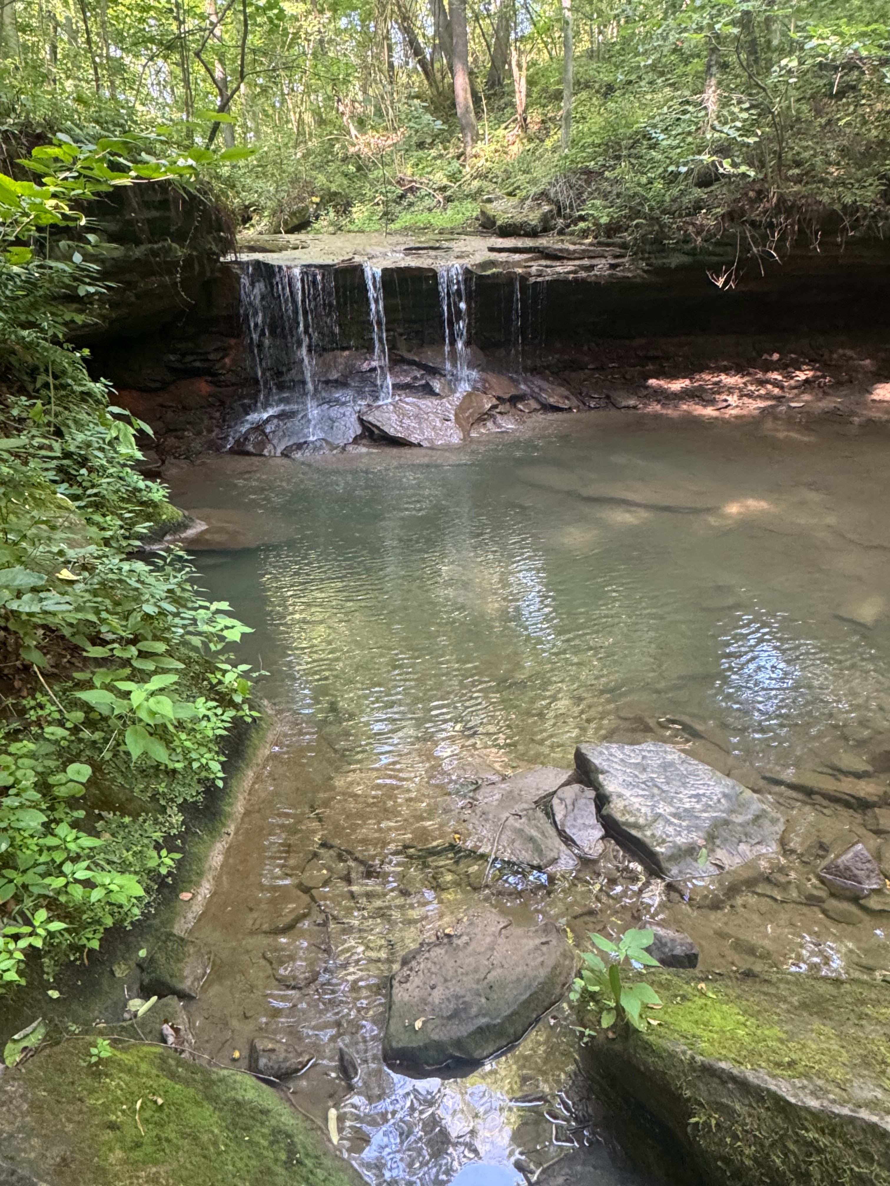 Youghiogheny River Lake