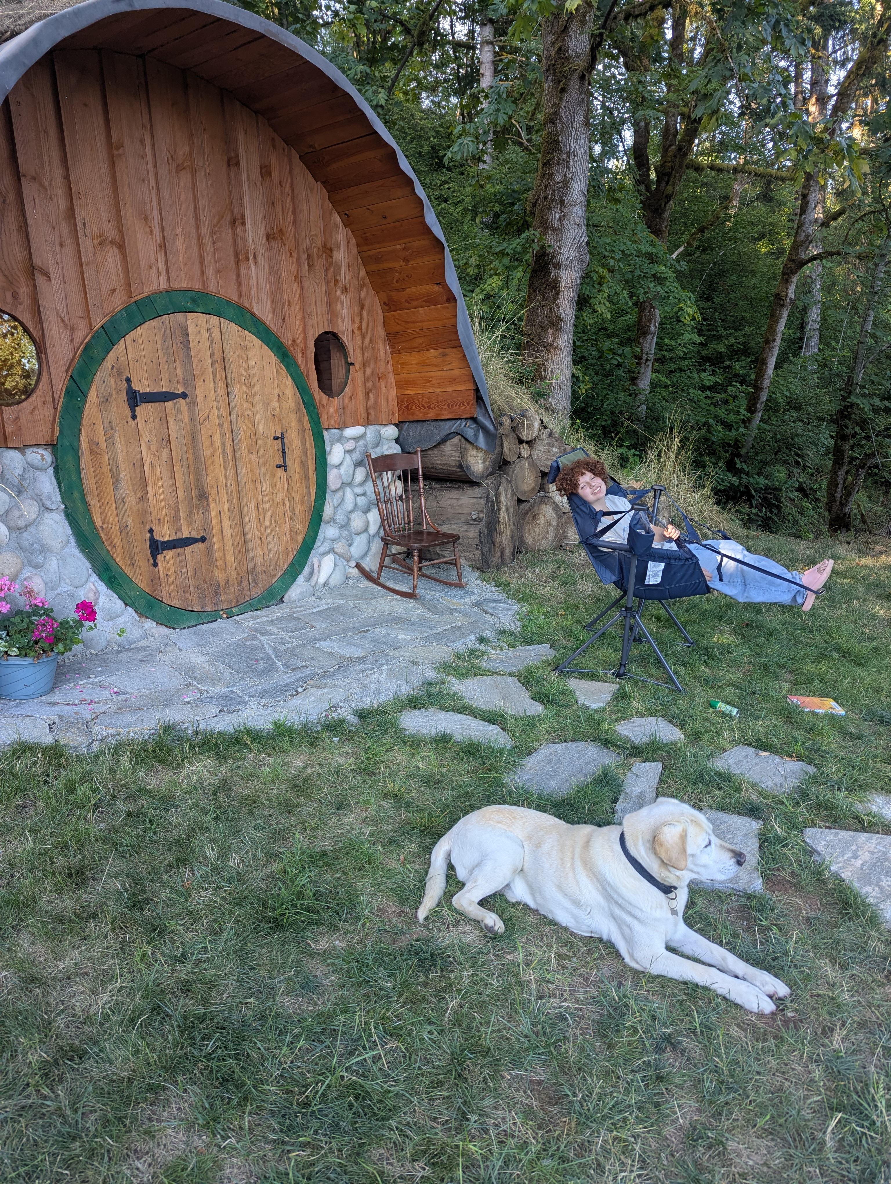 The friendly neighbor dog :)