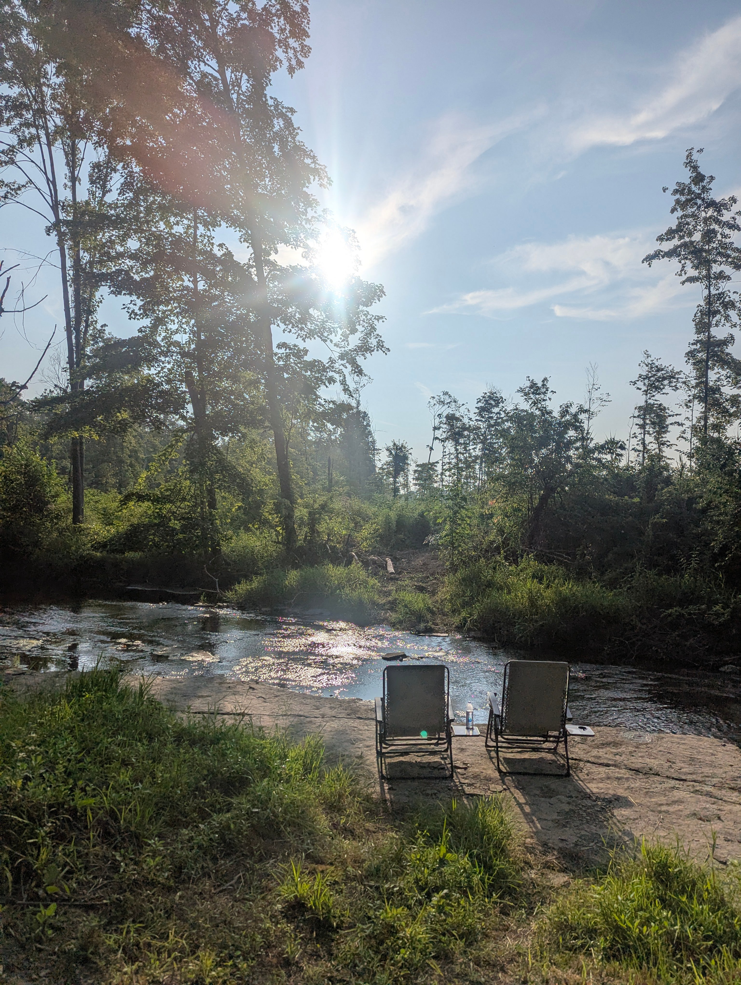 Arcola Acres