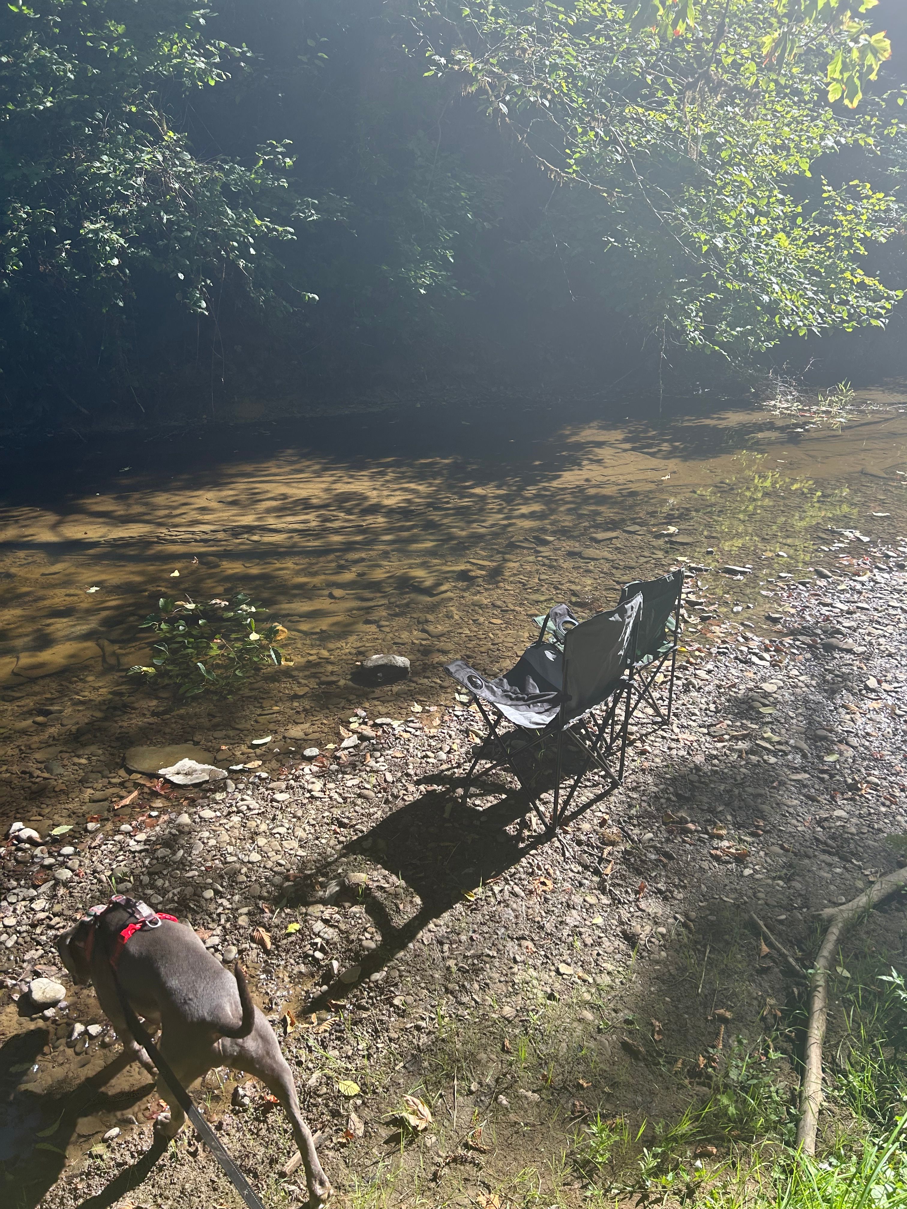 Camp Paradise Creek