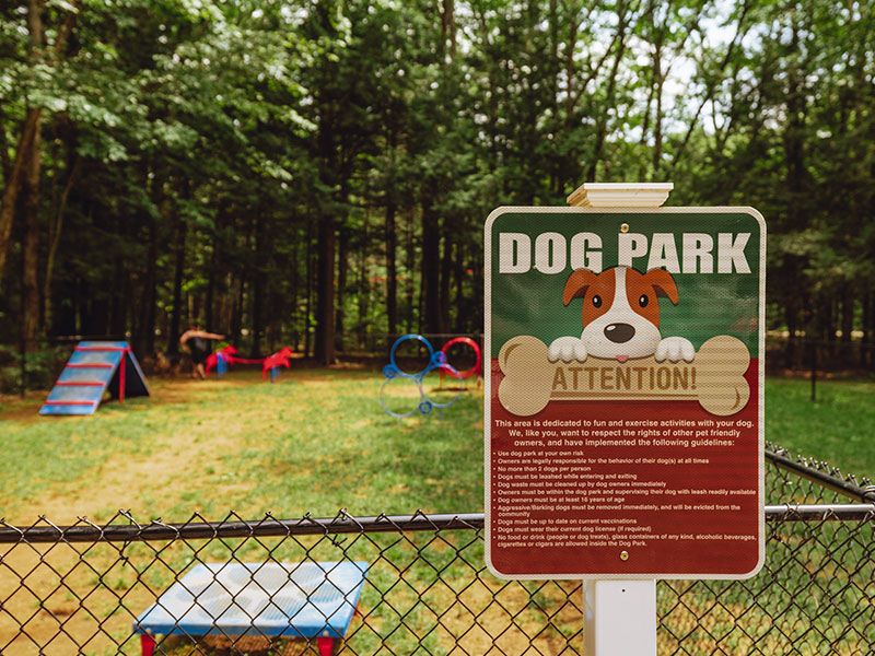 Sun Retreats Wild Acres