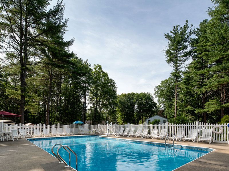 Sun Retreats Wild Acres