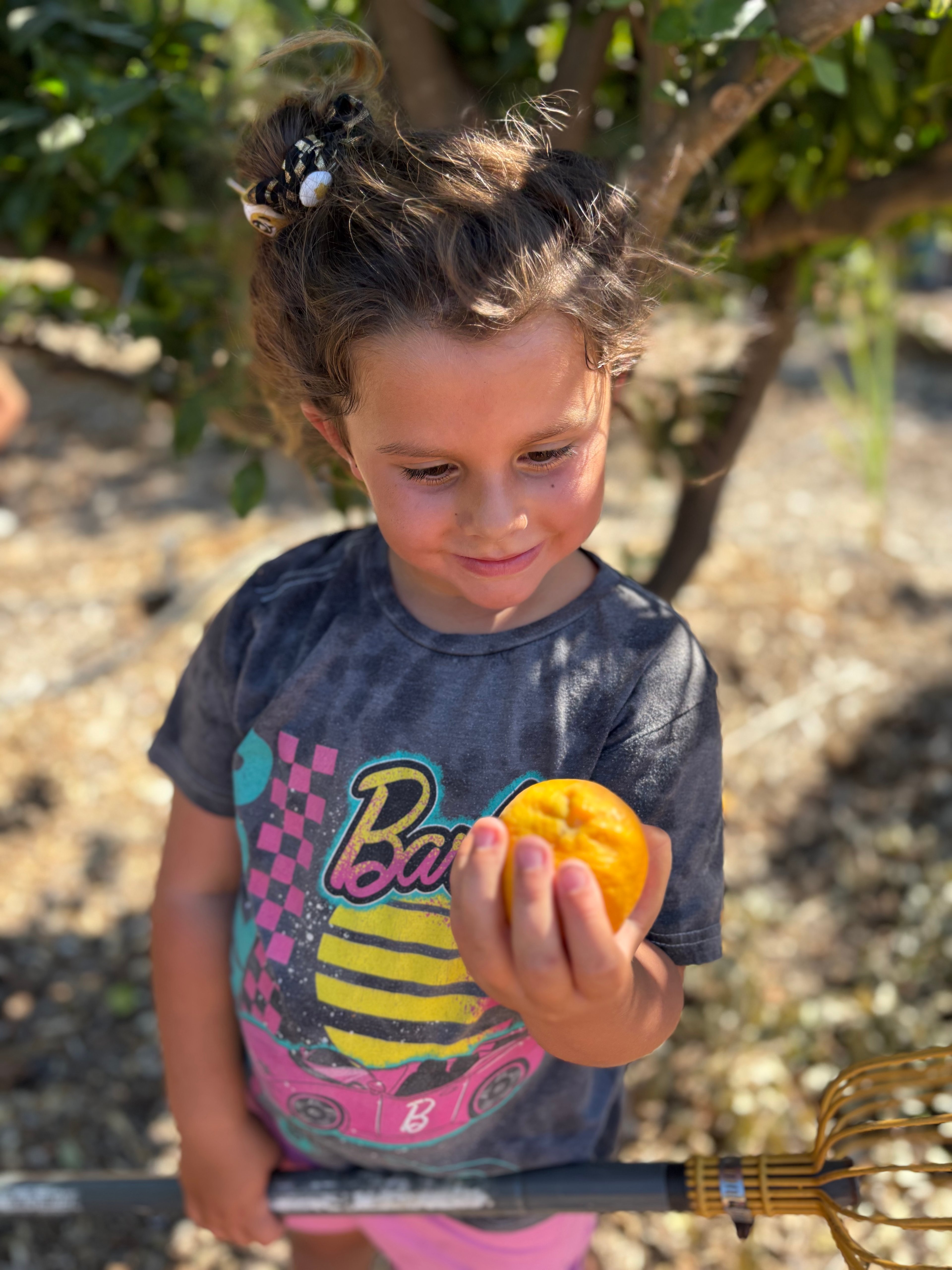 Fruit picking 