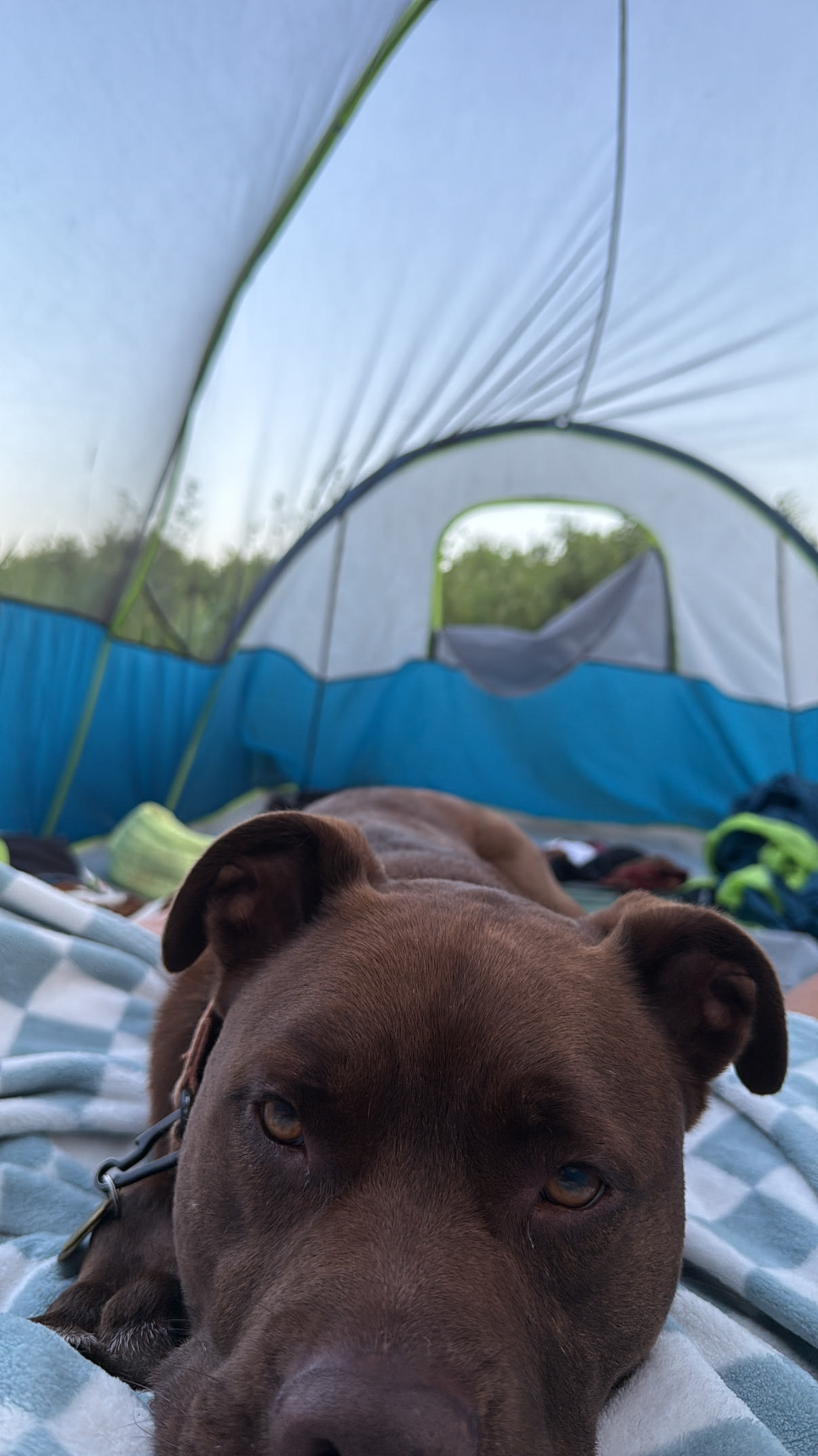 Paul Wolff Campground