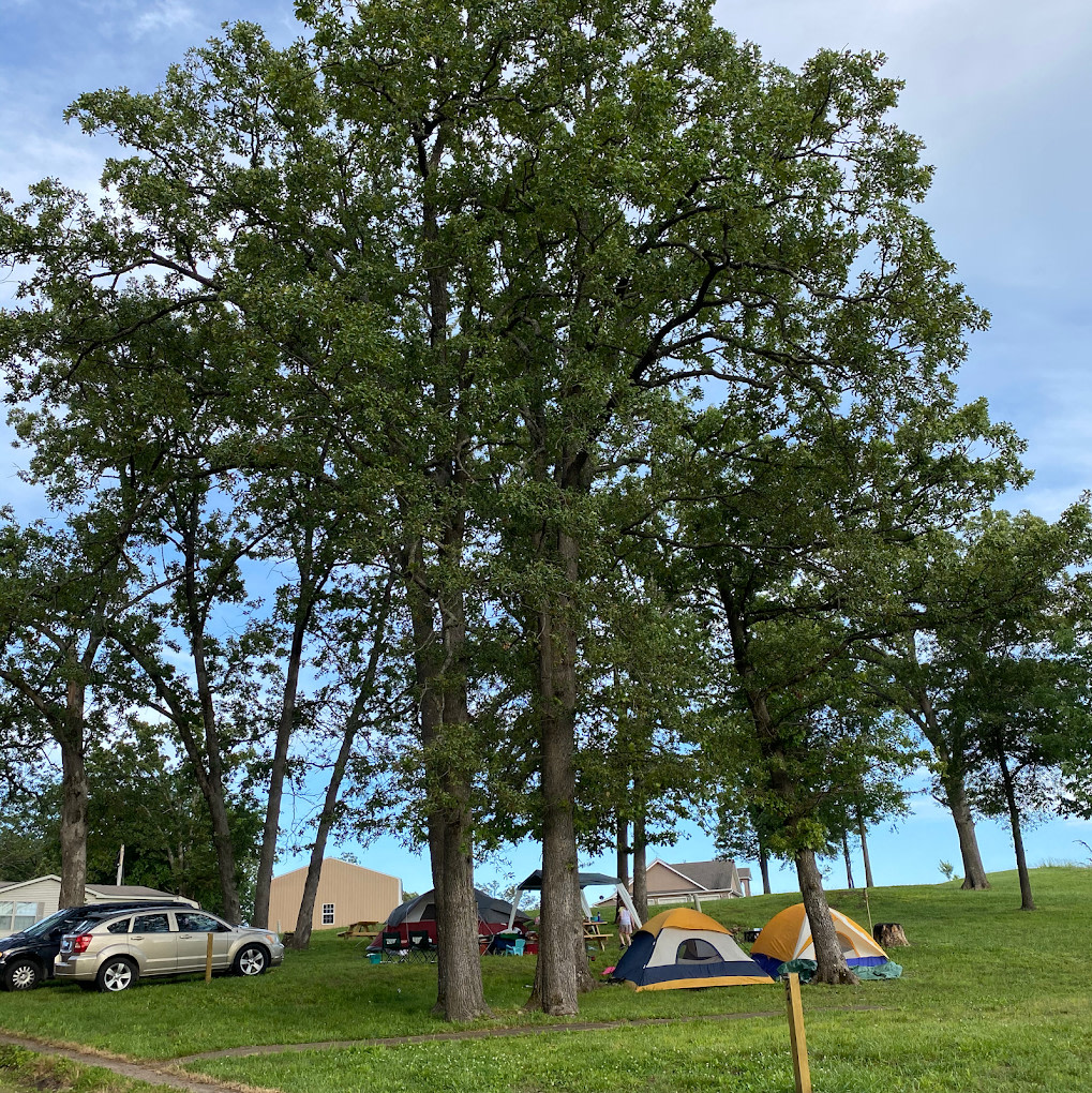 Ozark Farms Family Campground And RV Park