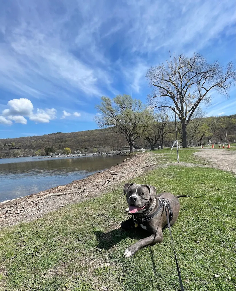 Clute Memorial Park & Campground