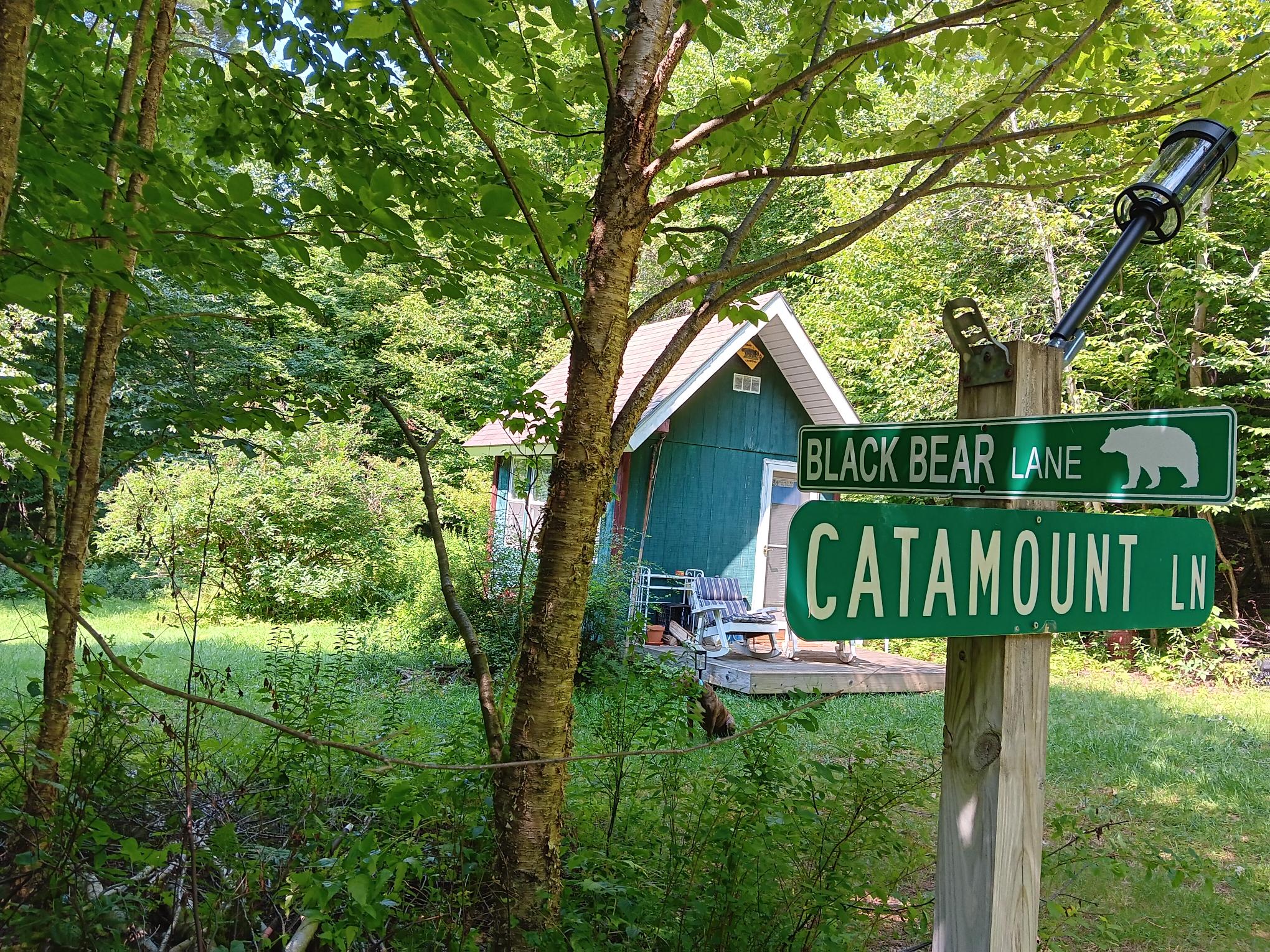 Bear Necessities, Richford