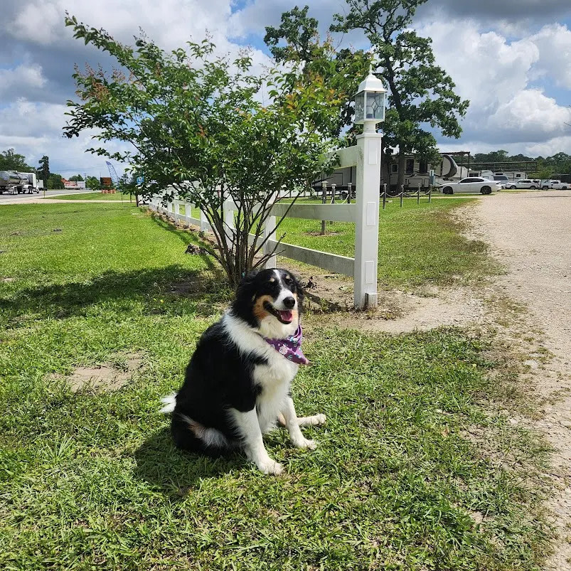 The Good Life RV Park