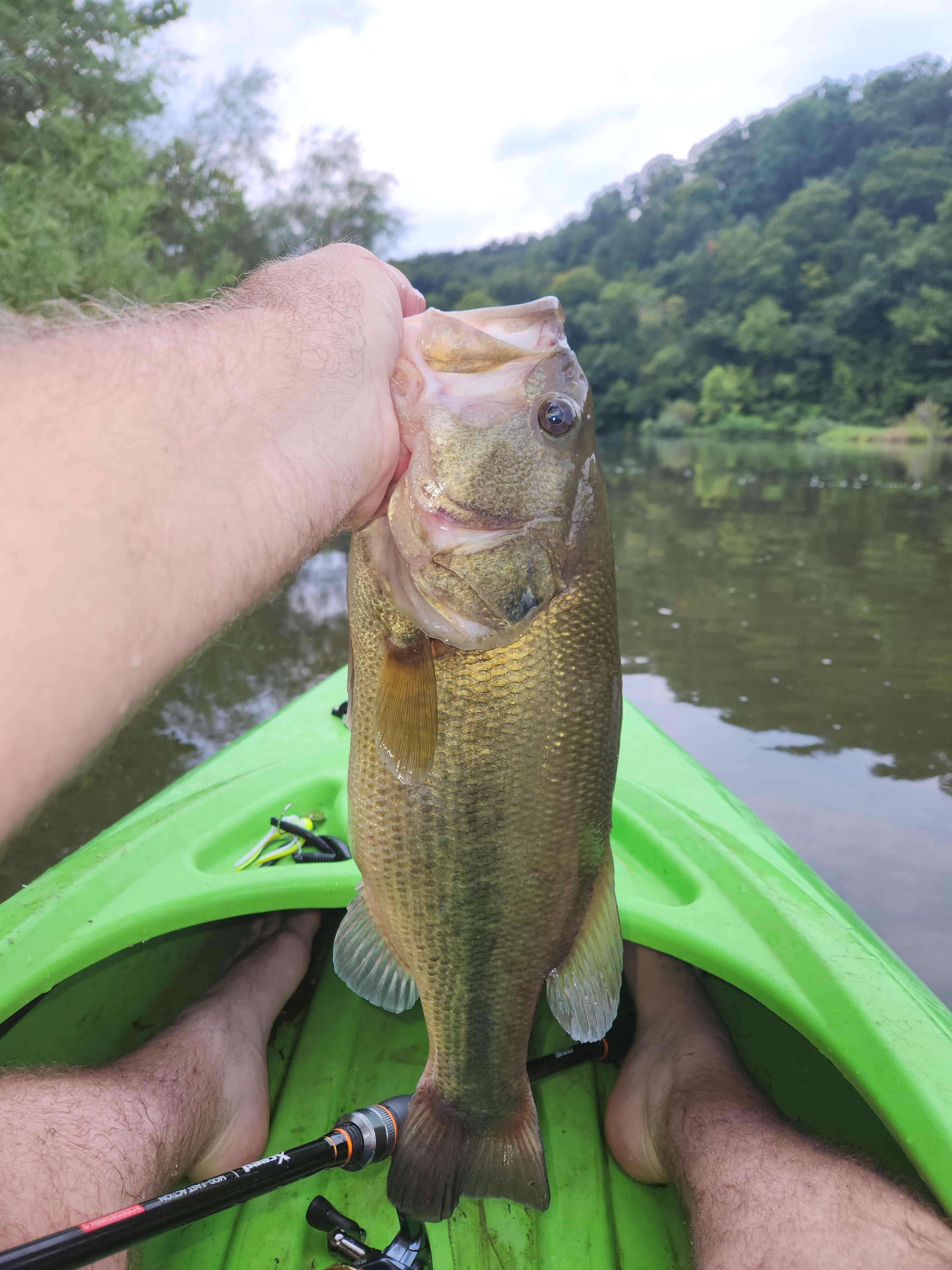 D'Ranch at Clearwater