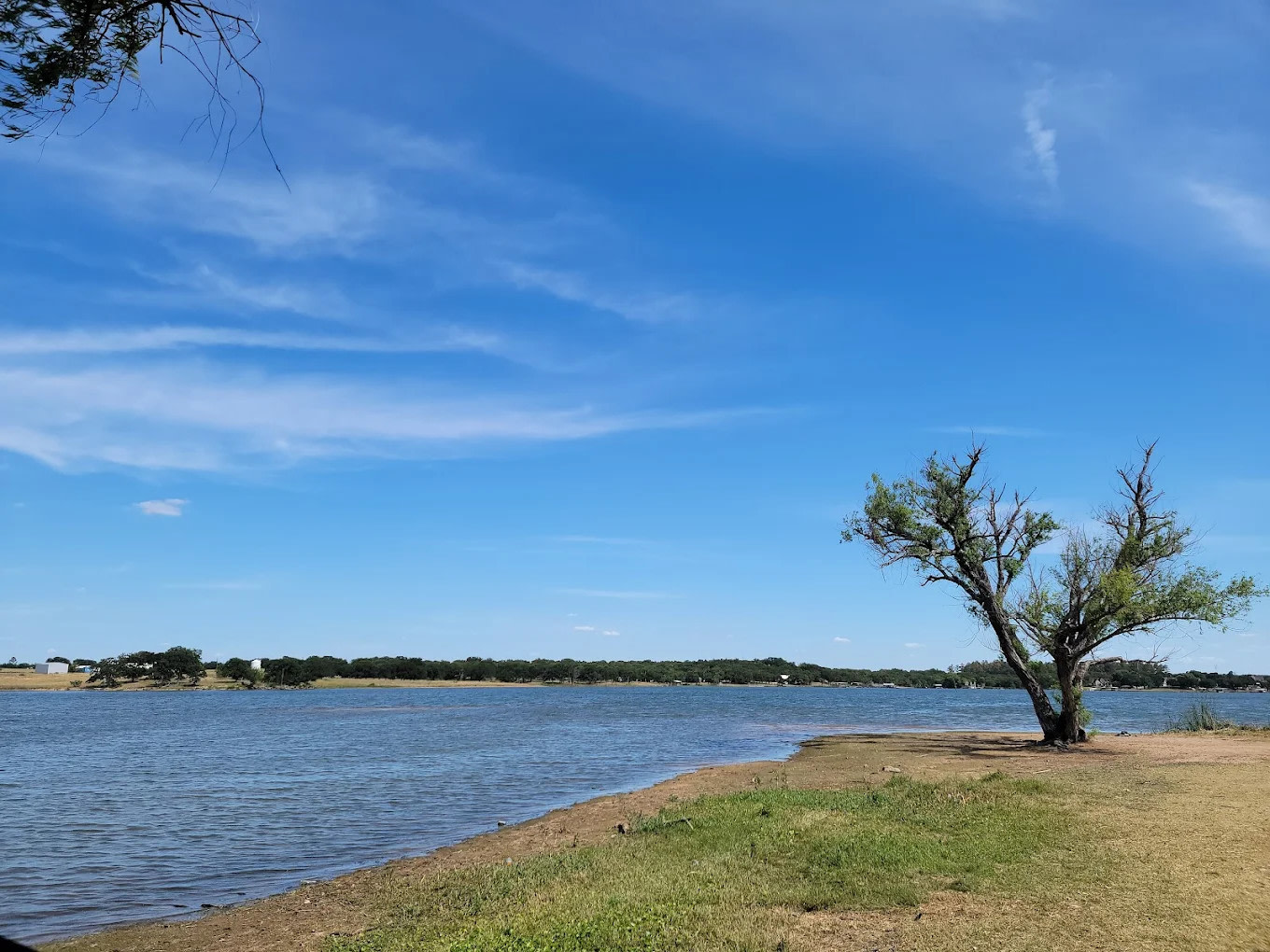 Selma Park