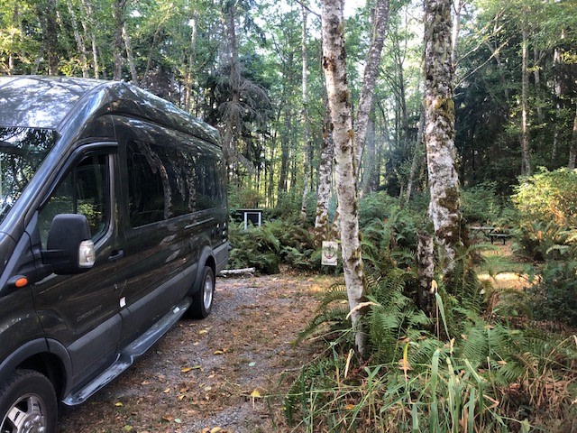 Forest Van Camp