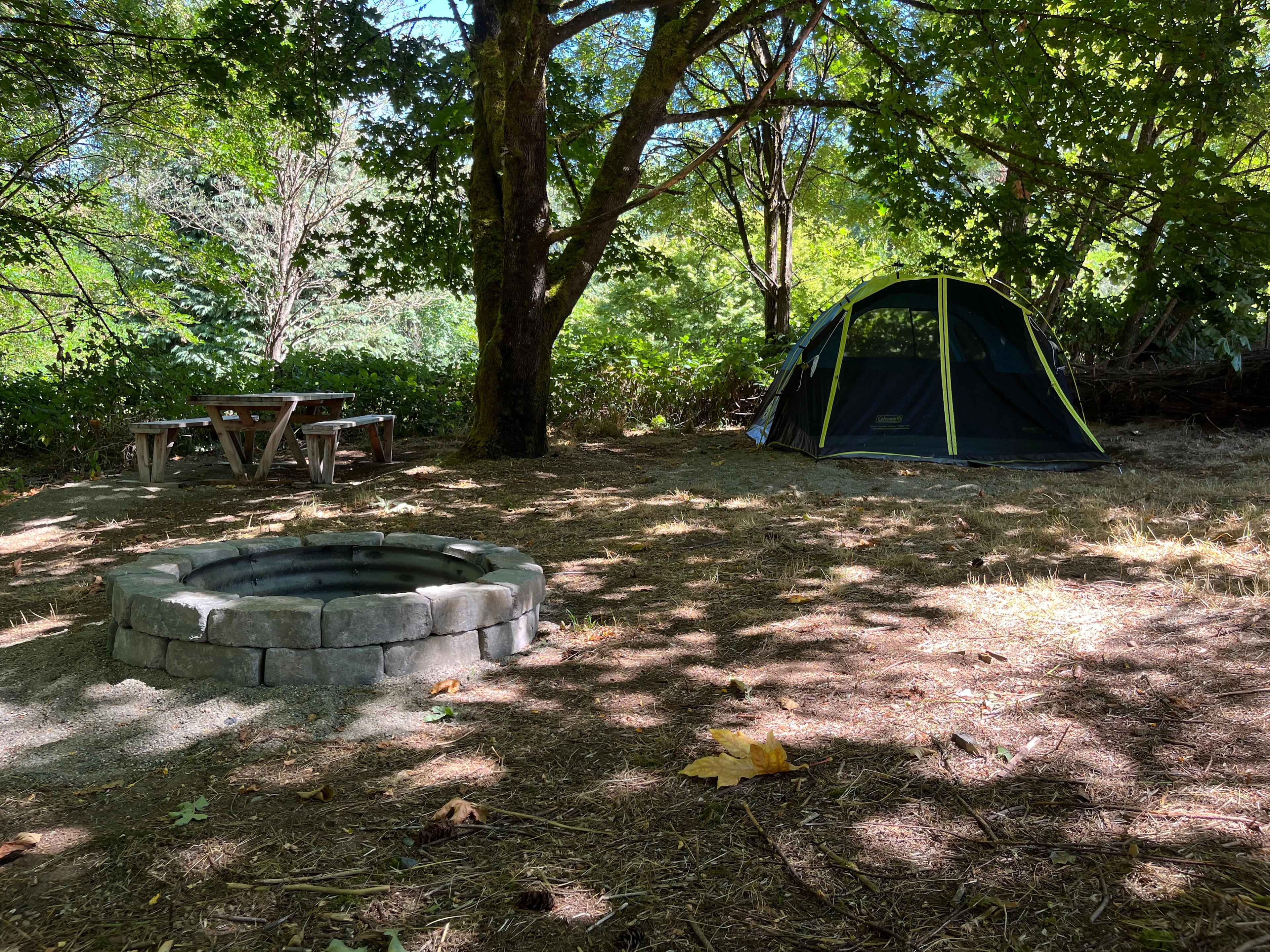 Large fire pit, level tent sites and level picnic table