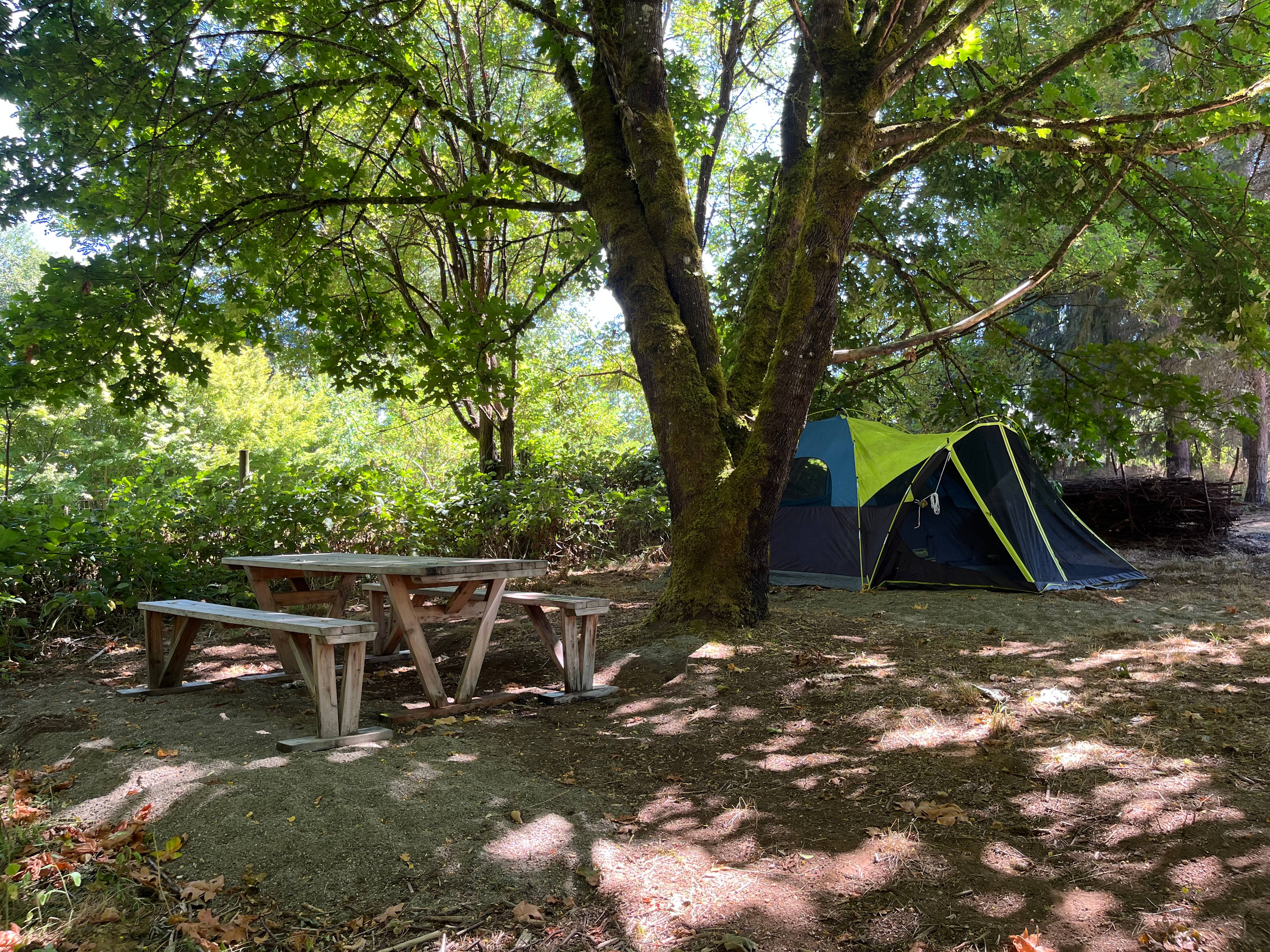 Level picnic and tent sites.