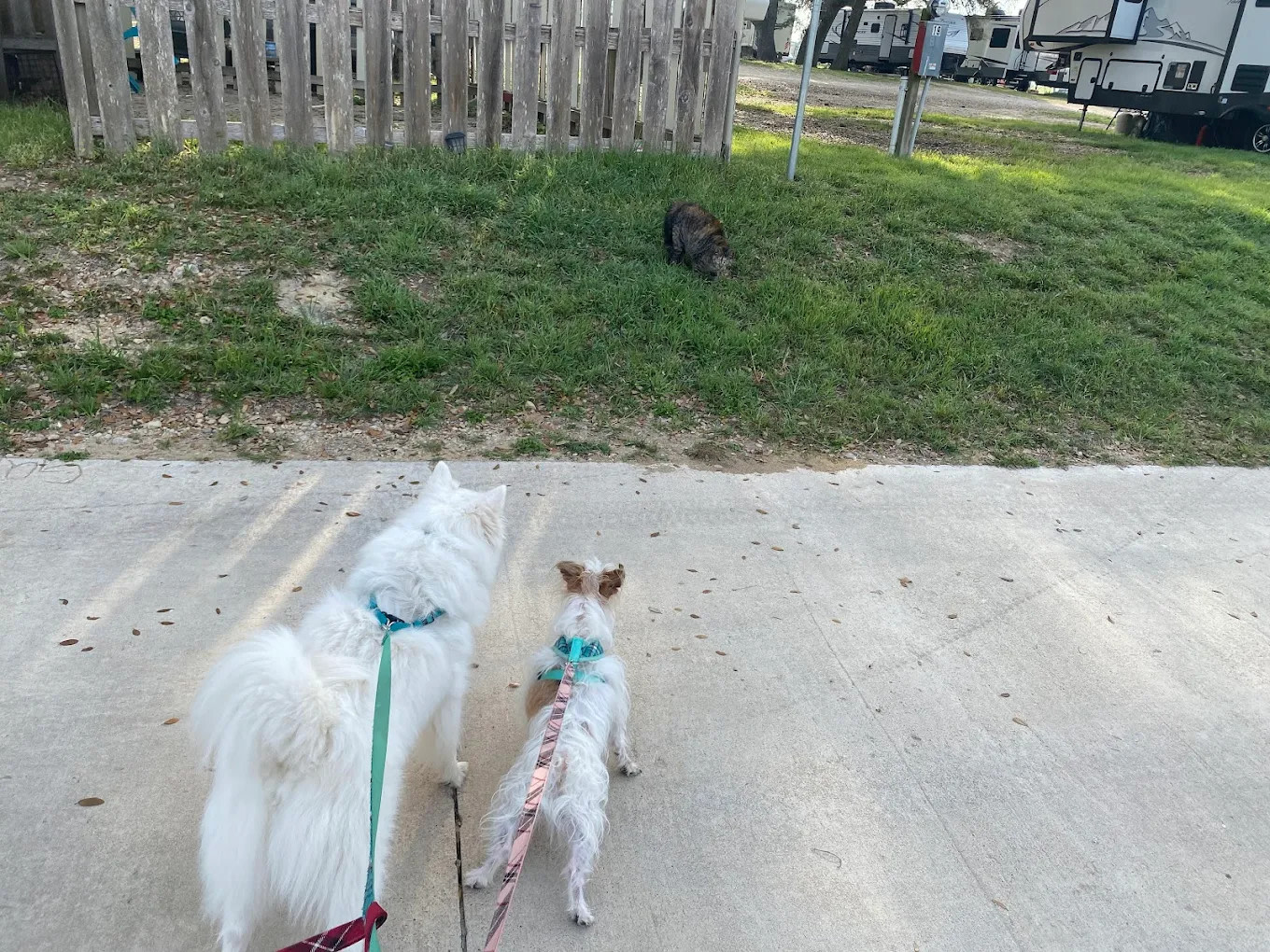 Artesian Park RV Campground