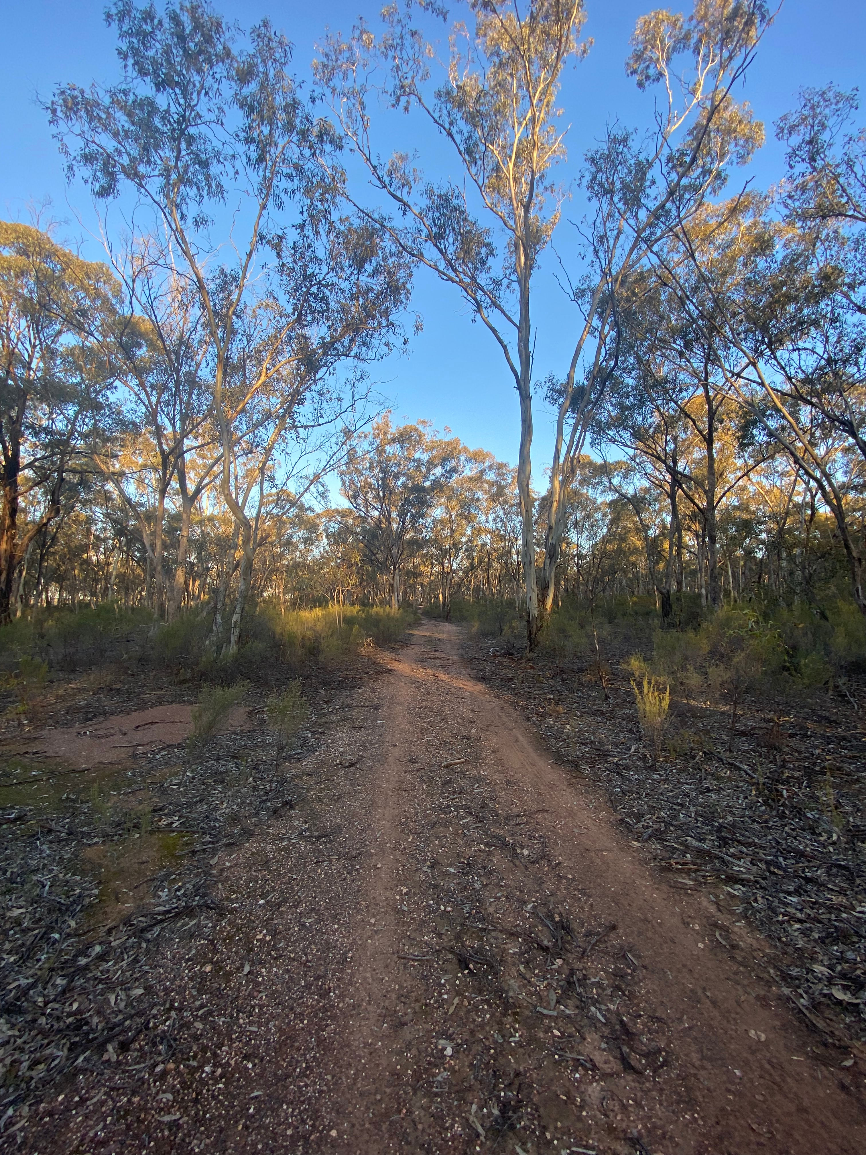 A Place We Call Home