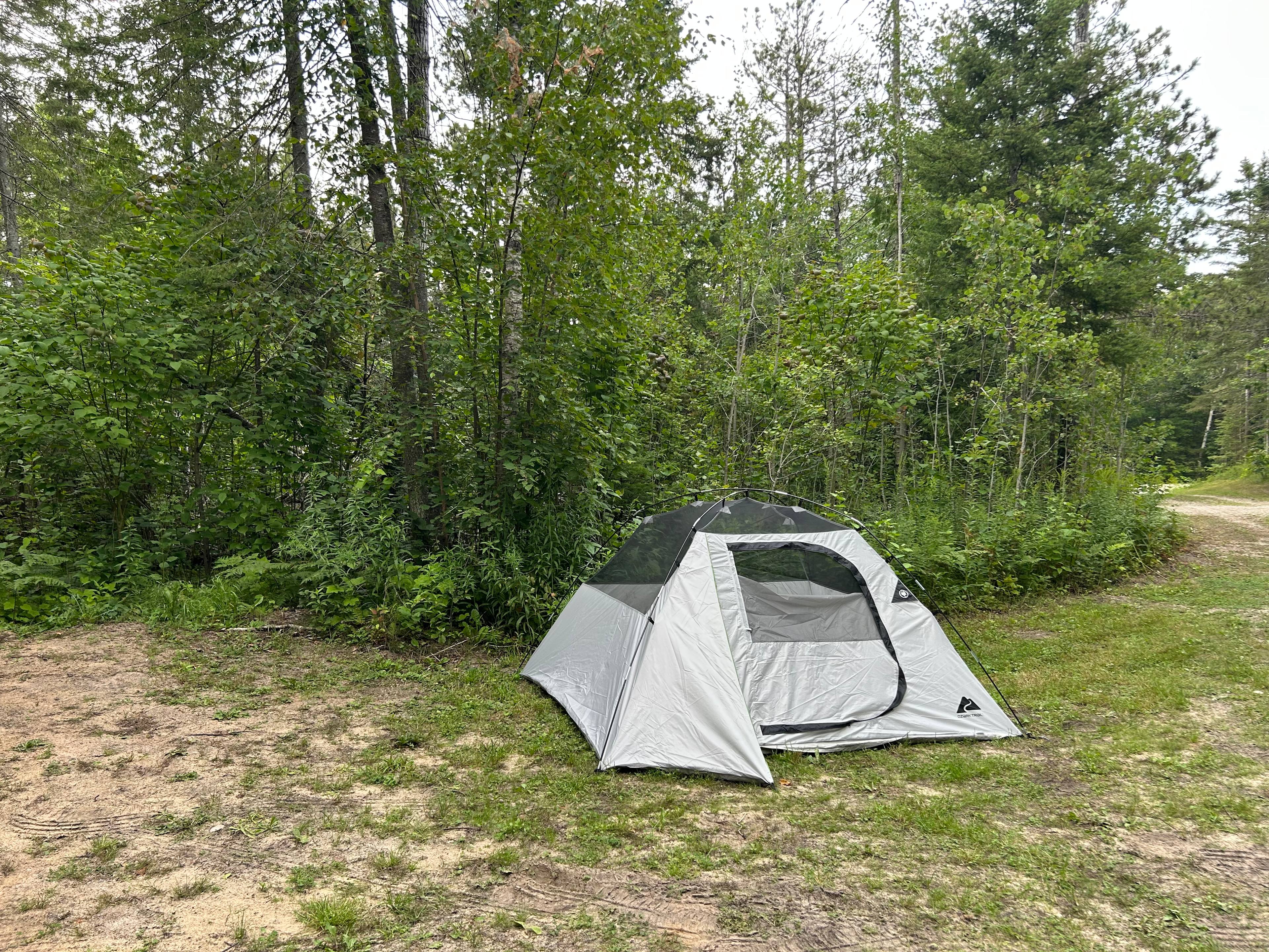 Yoder Woods