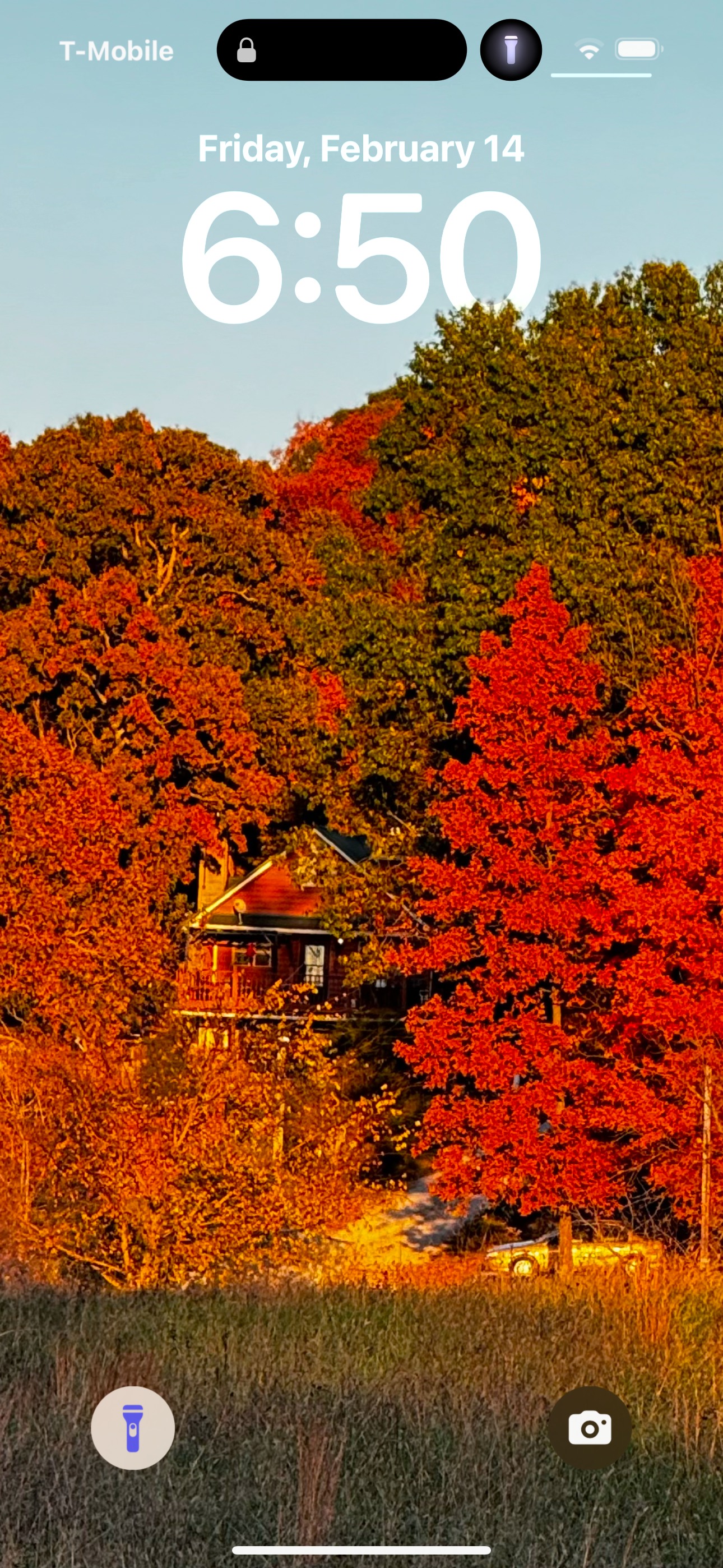 Buds Farm