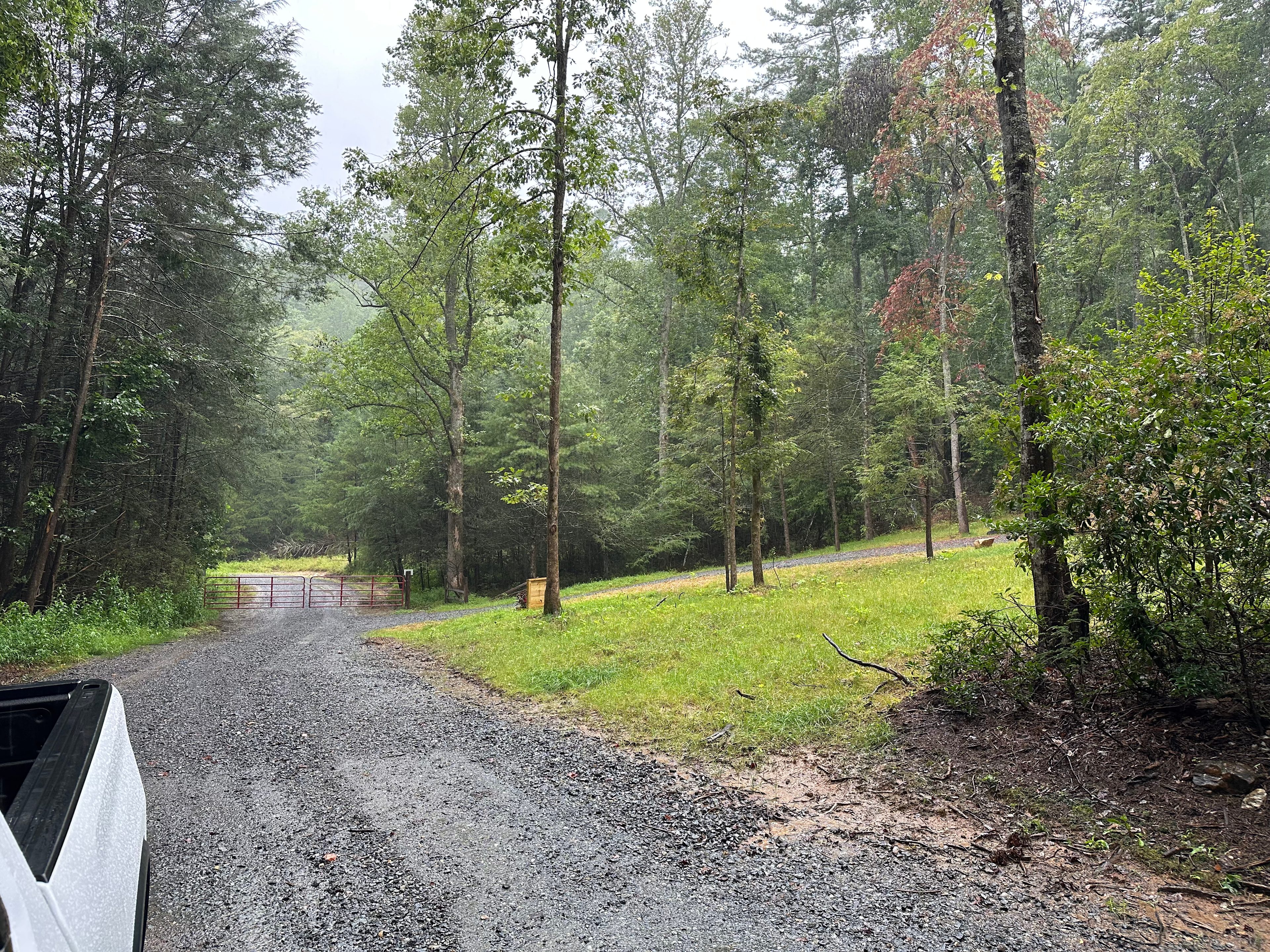 Deer Trails at Stone Mountain