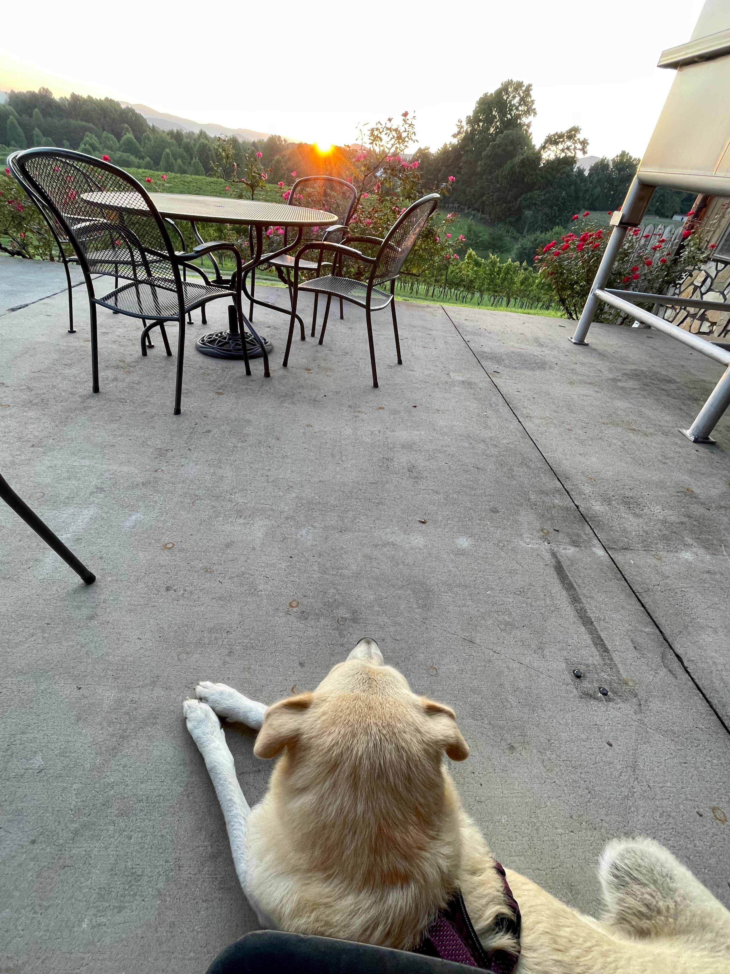 Round Peak Vineyards