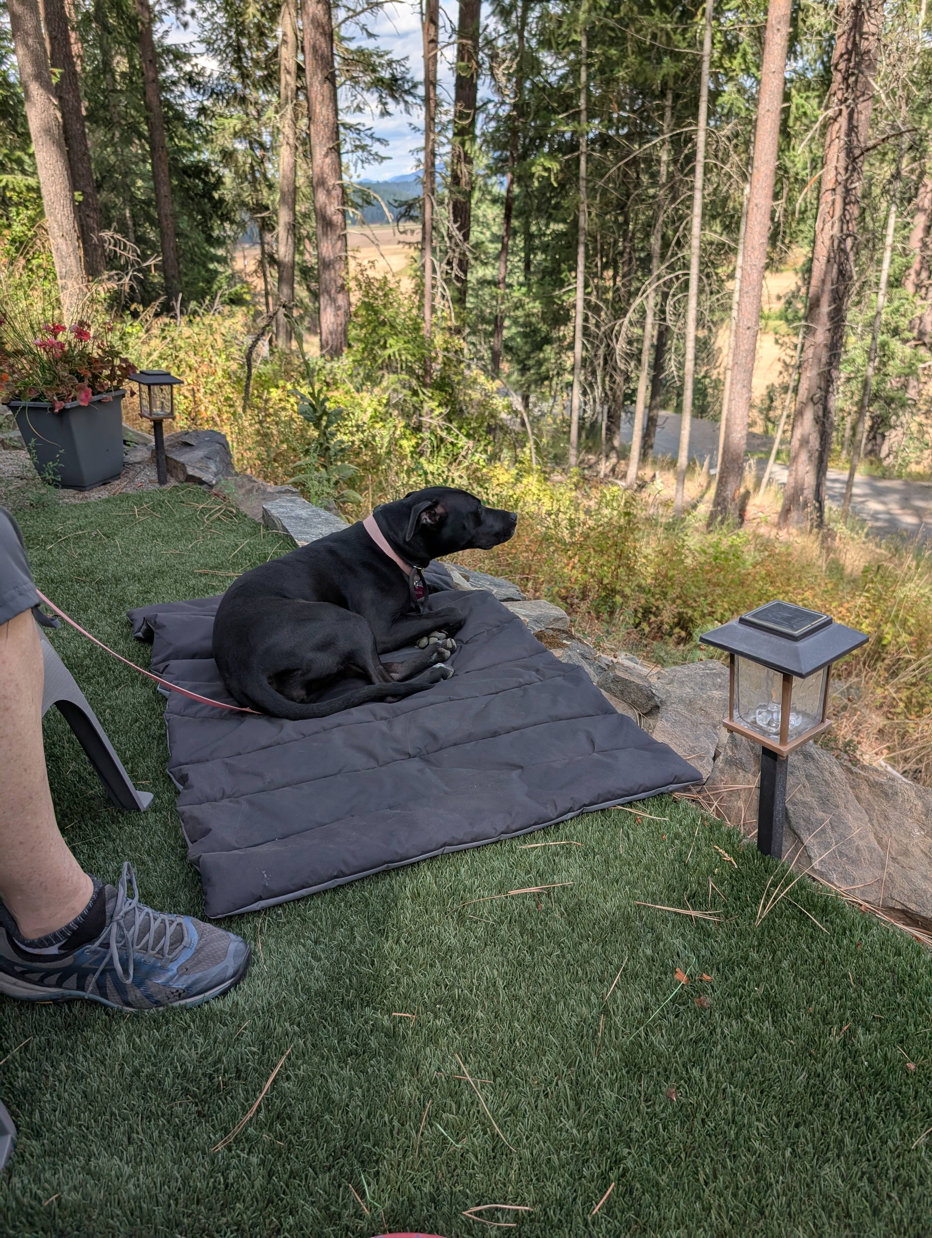 B & B Flower Farm Coeur d’ Alene