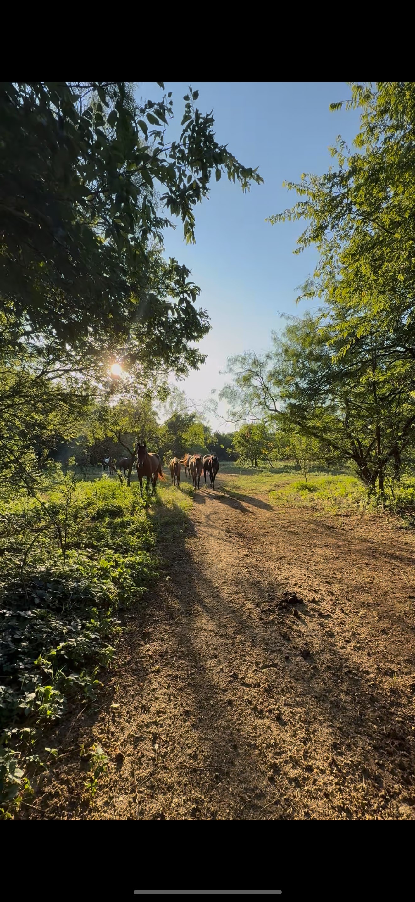 Diamond S Ranch RV Retreat