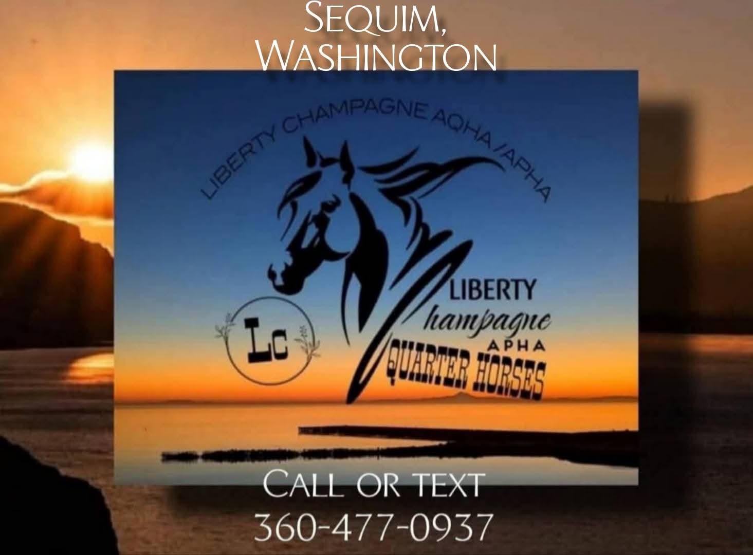 Liberty Champagne Quarter Horses