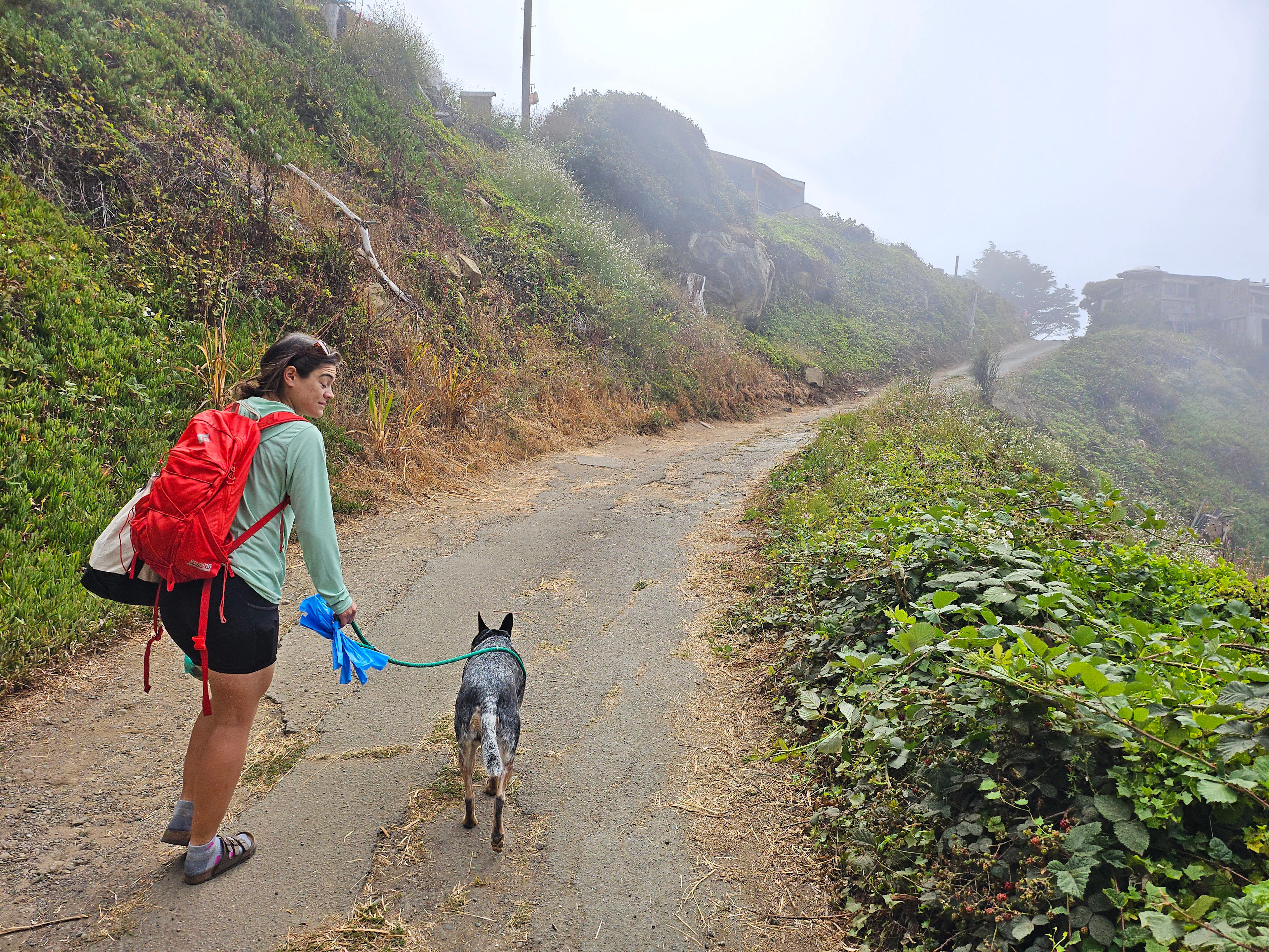 View looking up the beach access road