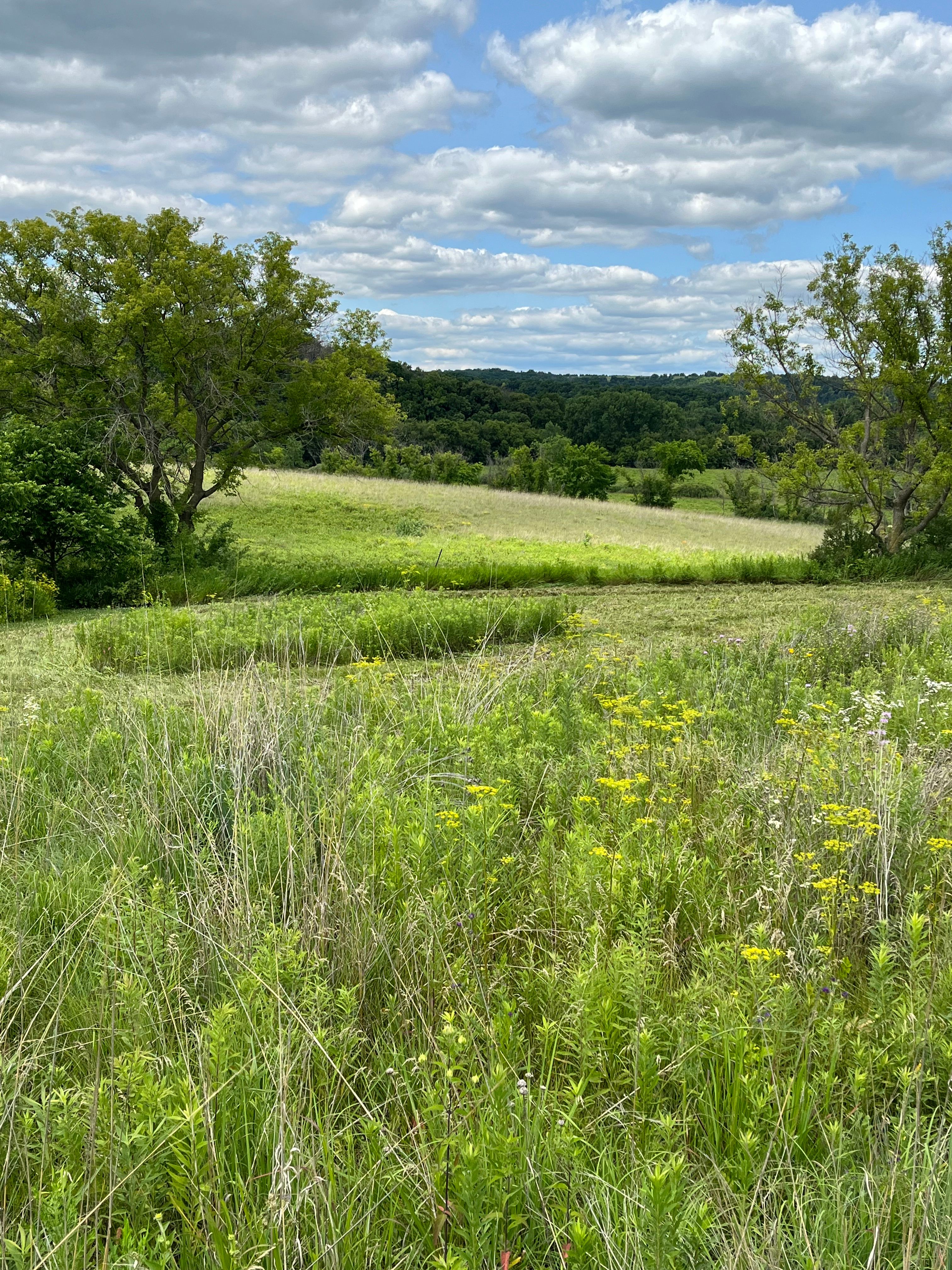 Lanesboro Acres