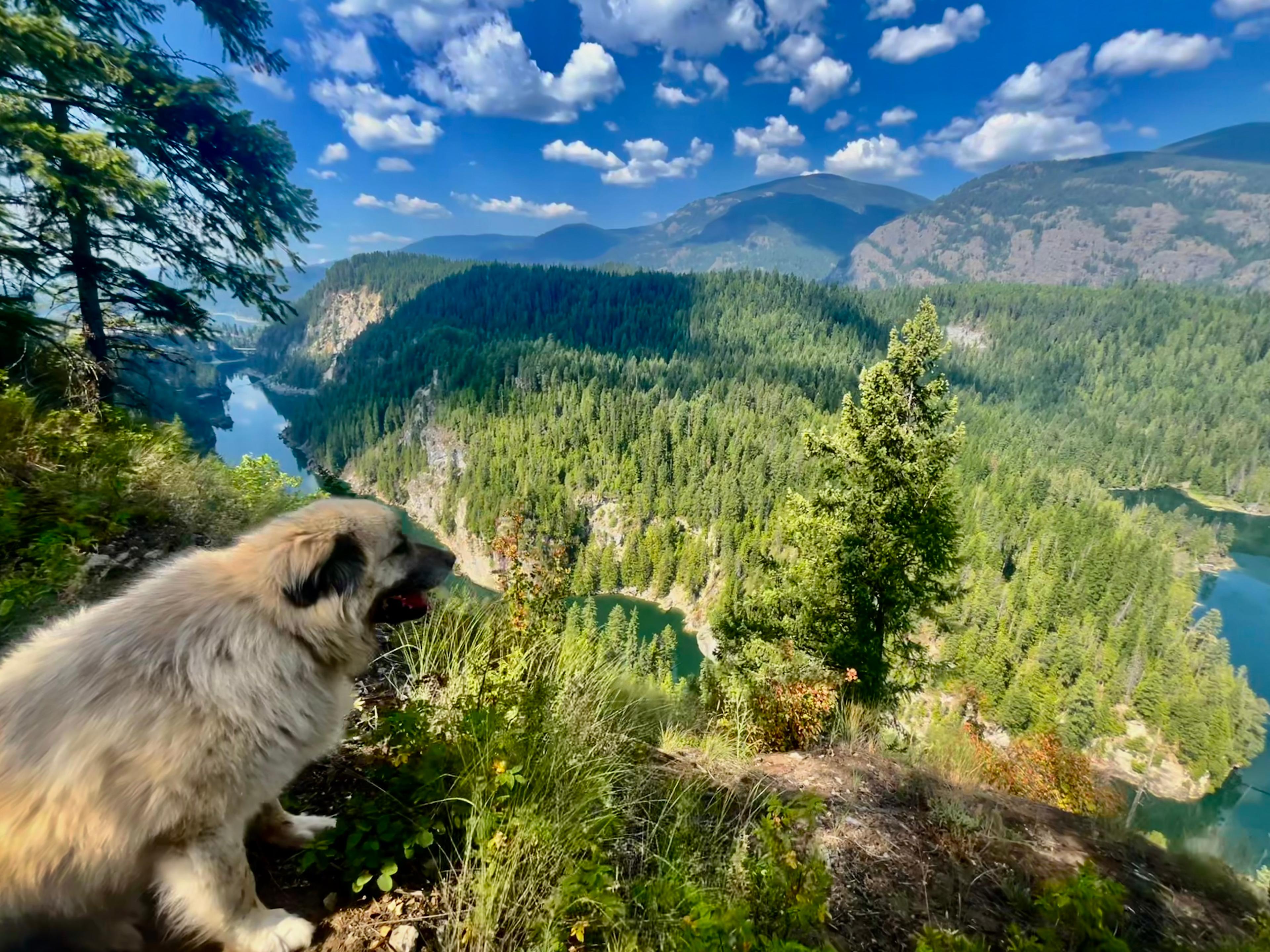 Mountain Refuge Ranch