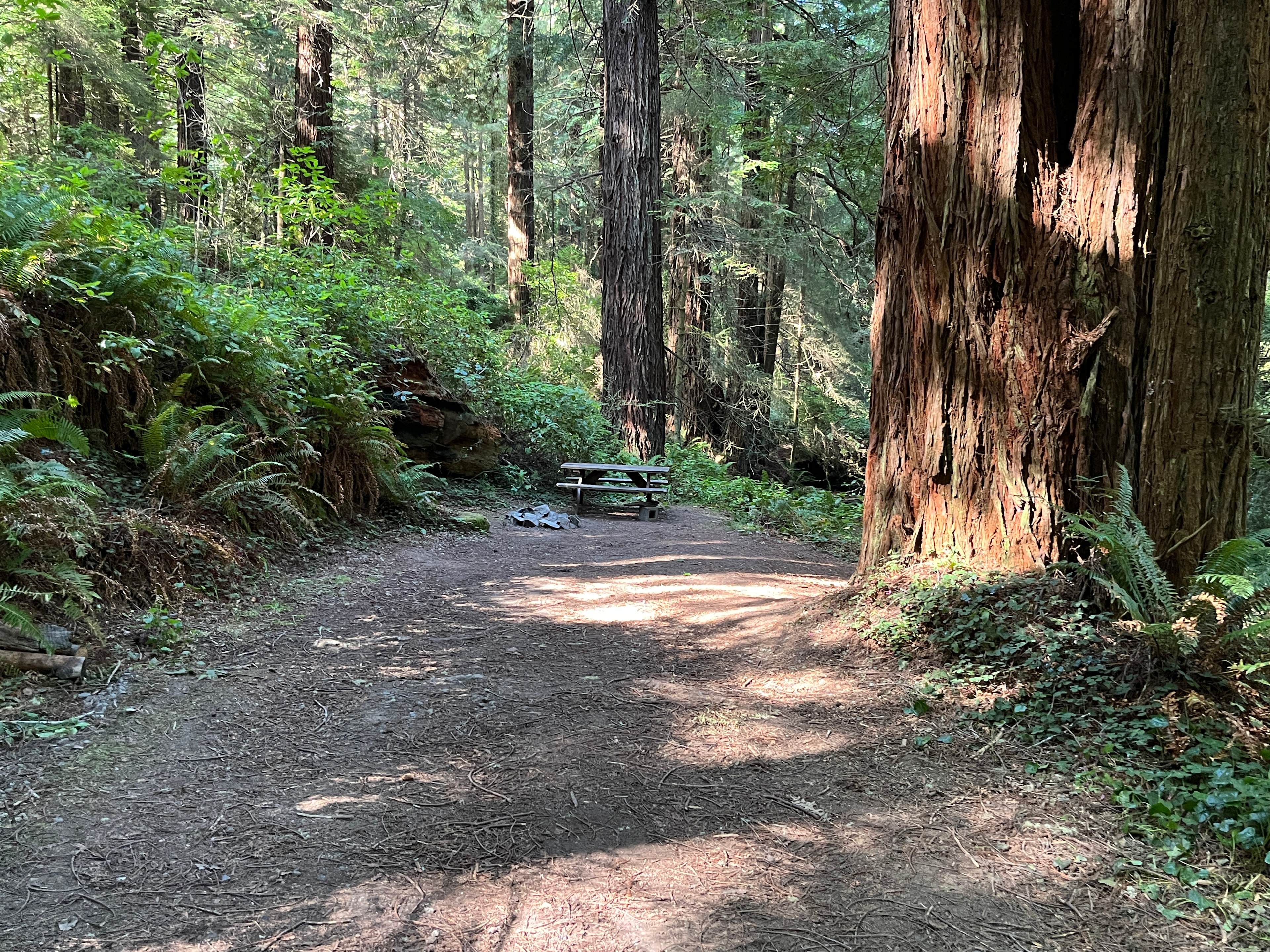 Sylvan Harbor RV Camp & Cabins