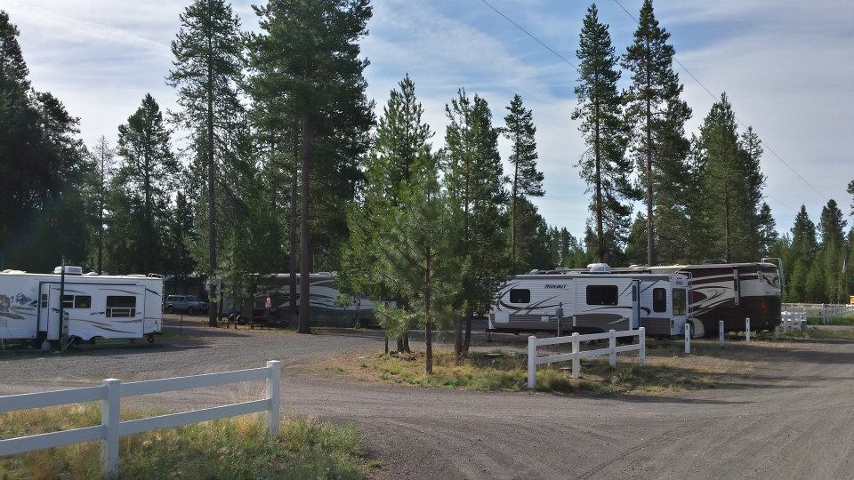 Hidden Pines RV Park
