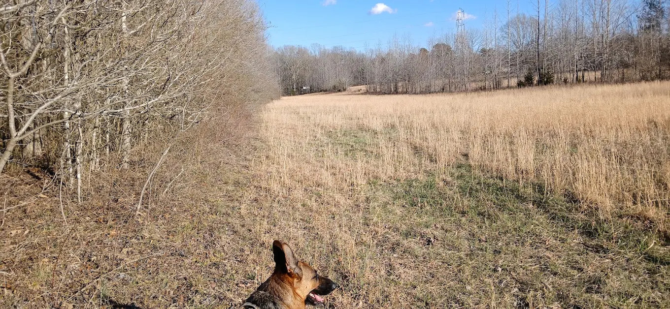 The Hohenwald Hideaway