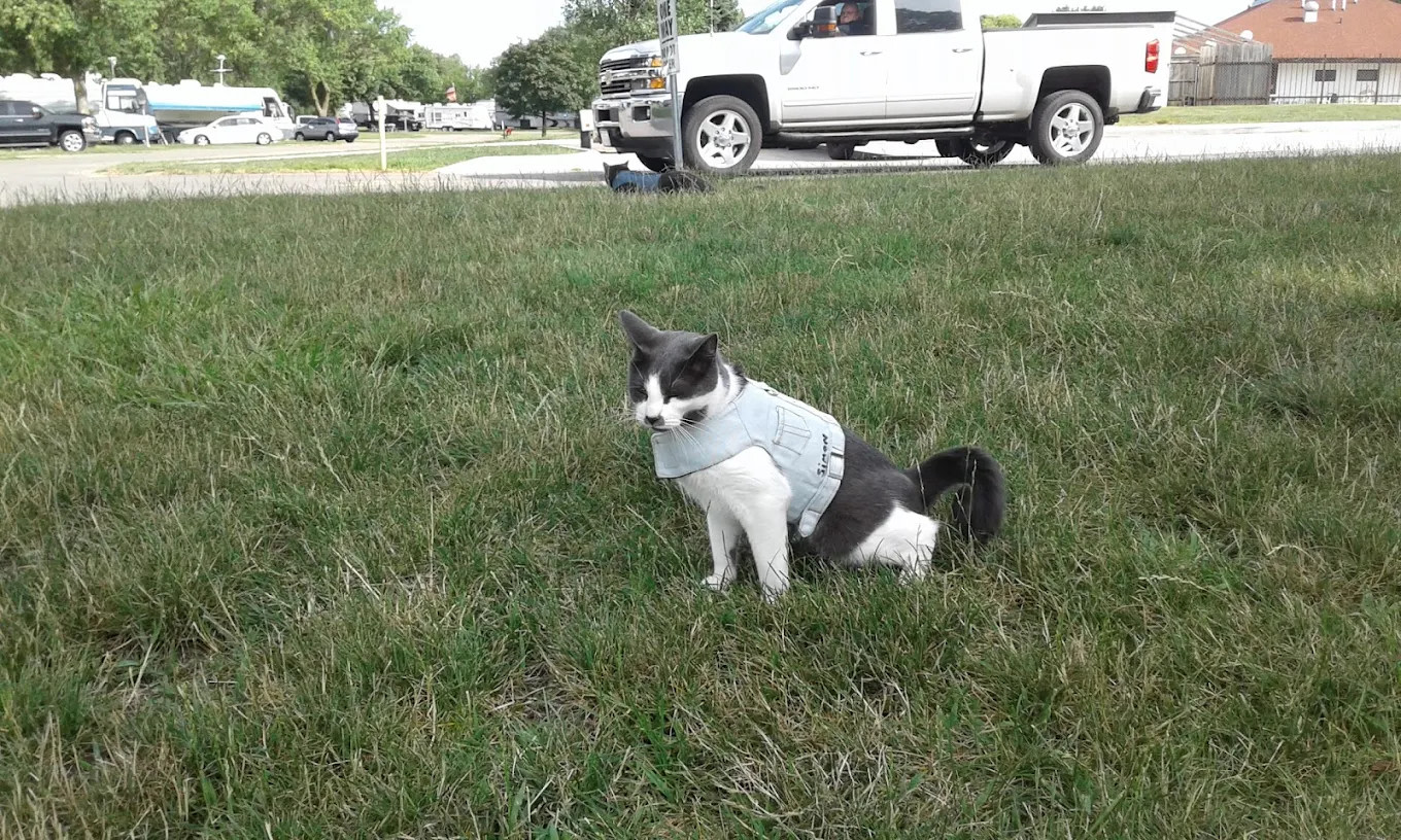 Adventureland Resort Campground