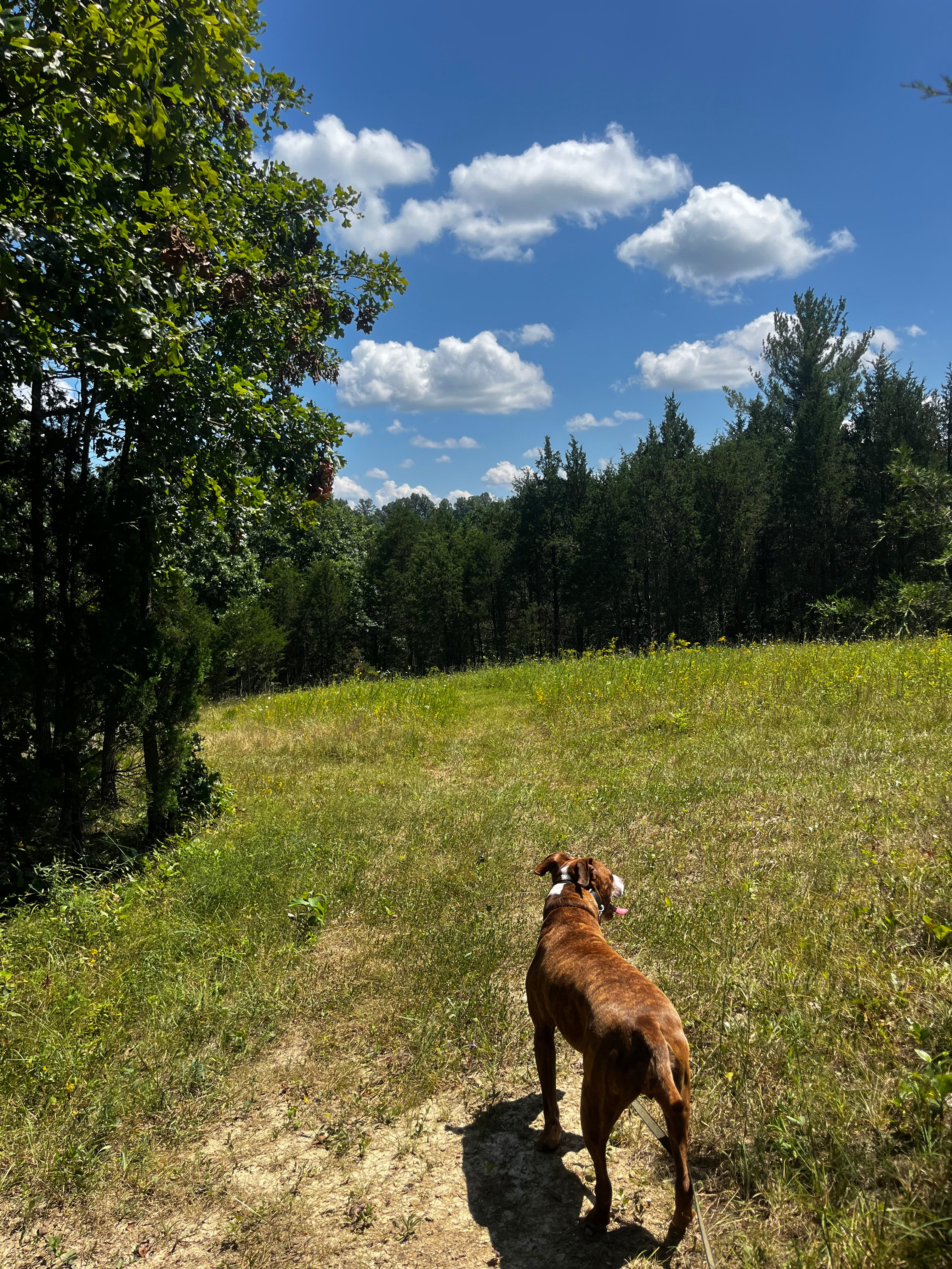 Tranquility Spring Campground
