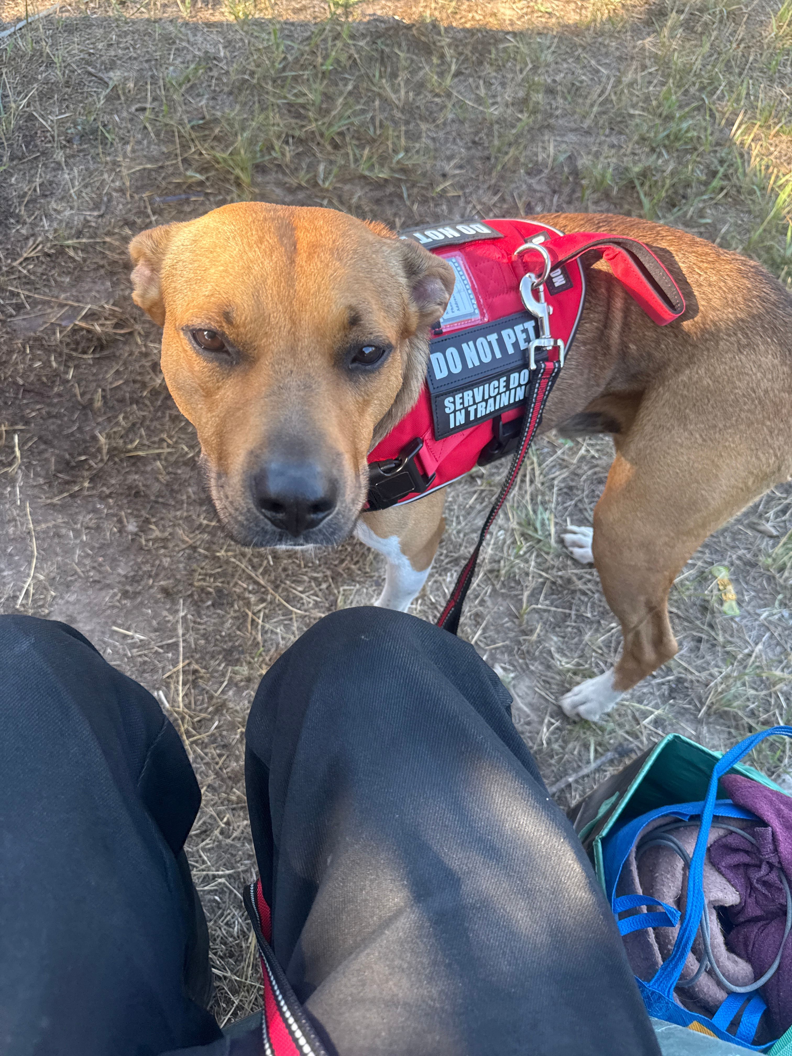 Missoula Rest And Relaxation