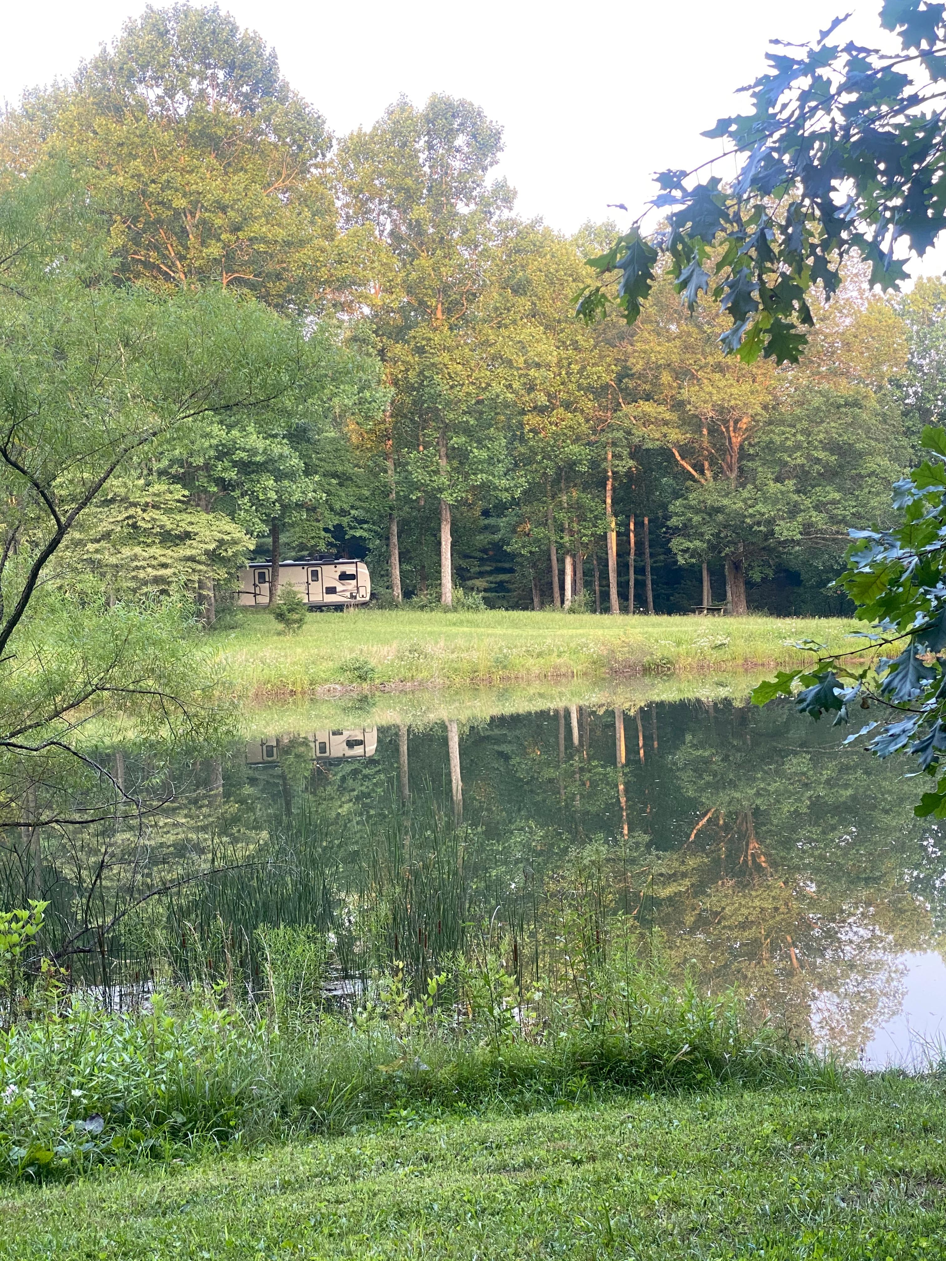 Moon Dog Hollow