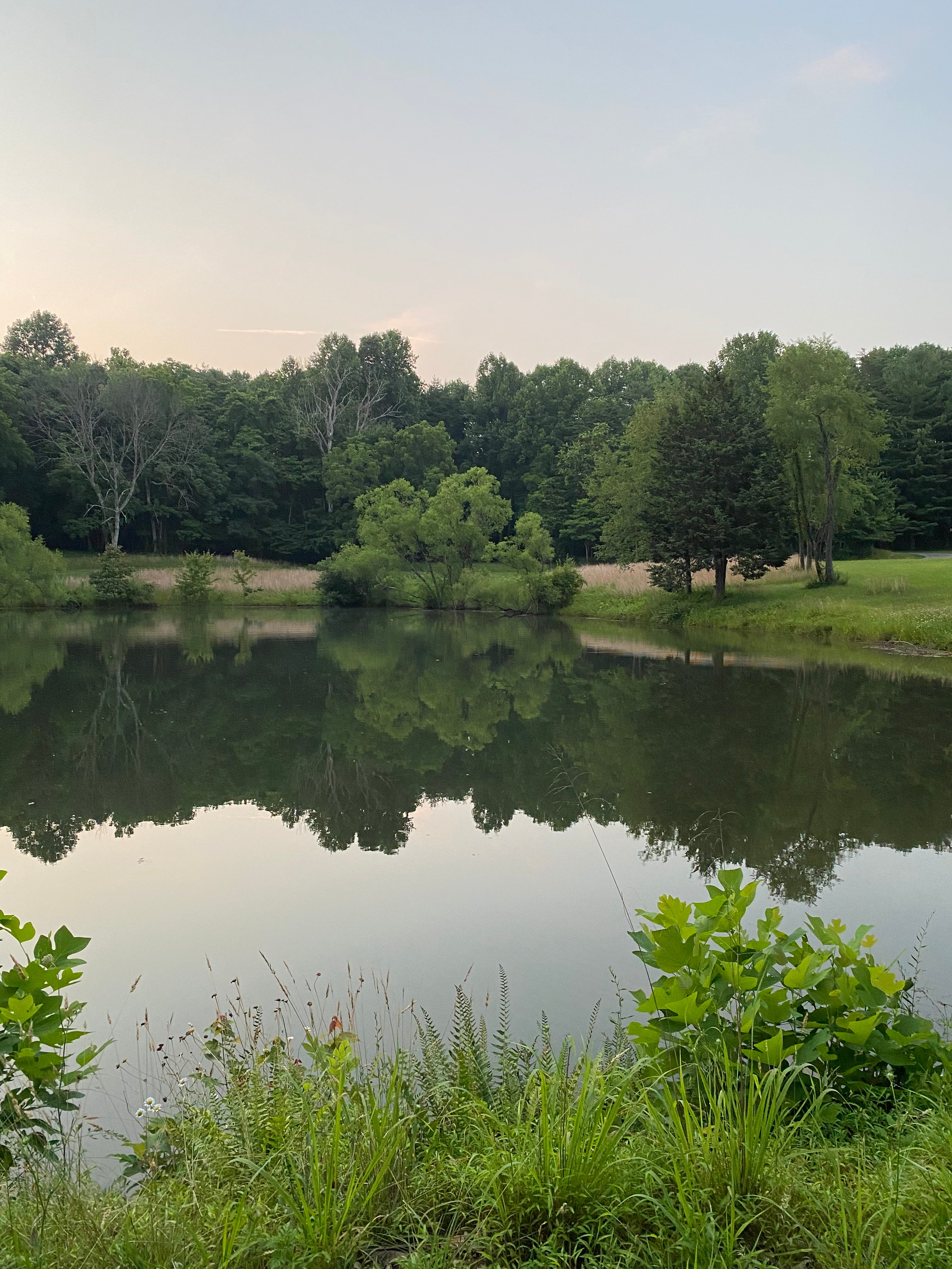 Moon Dog Hollow