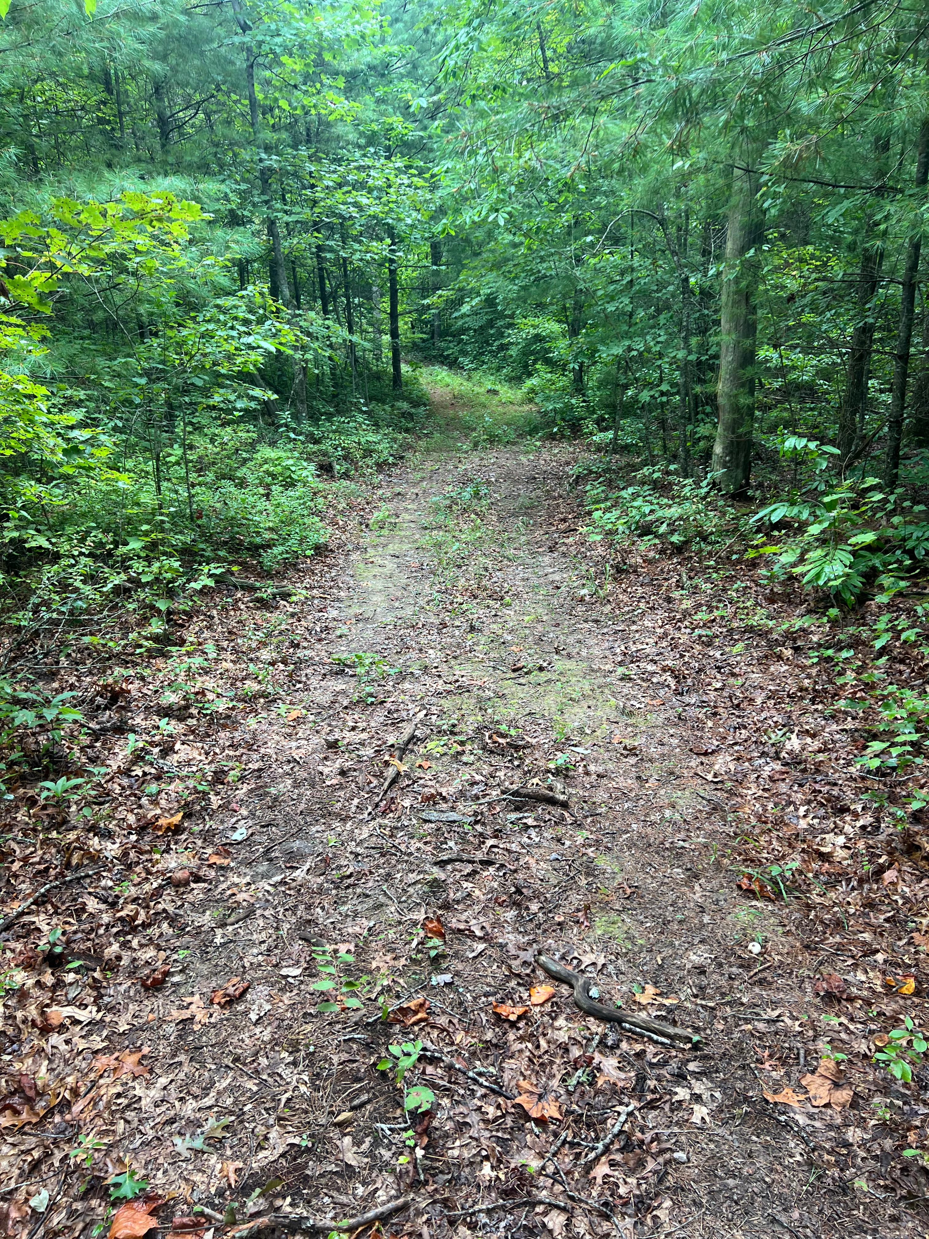 Ironsburg Basecamp