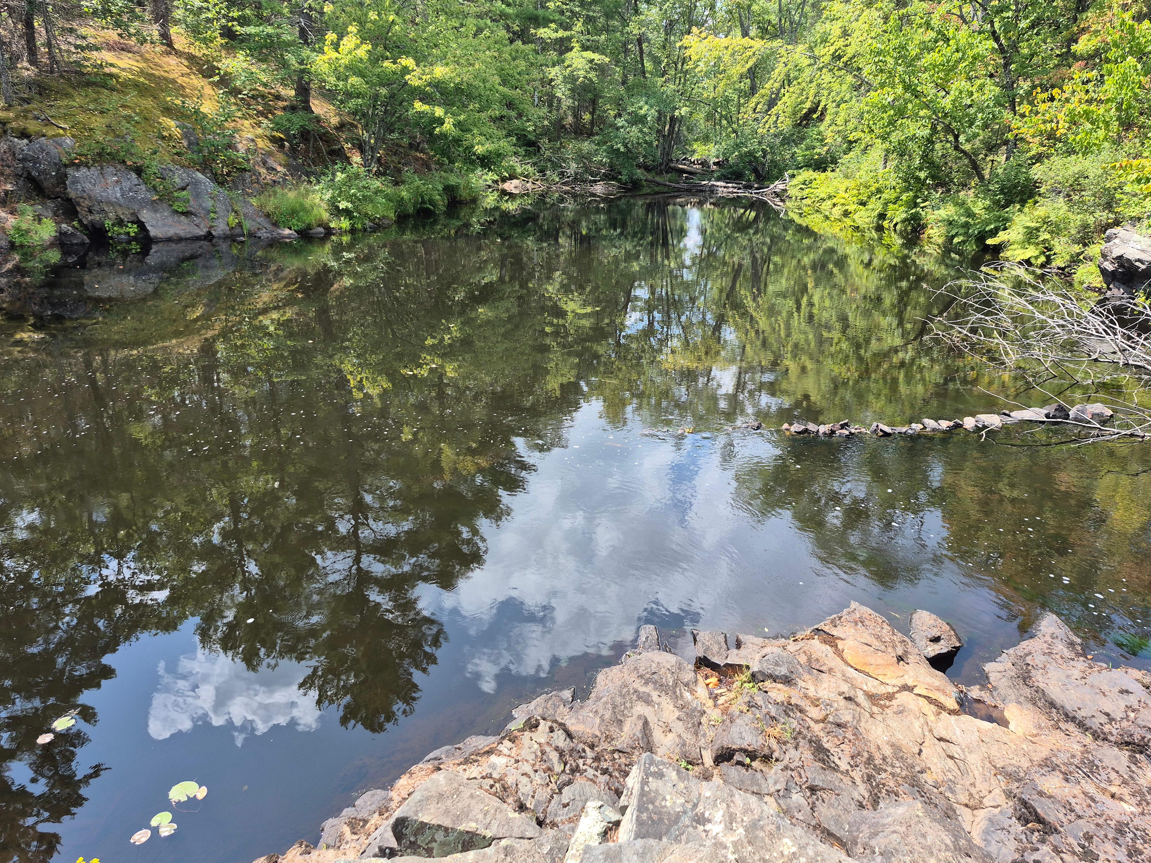 The local swimhole, August 12th 