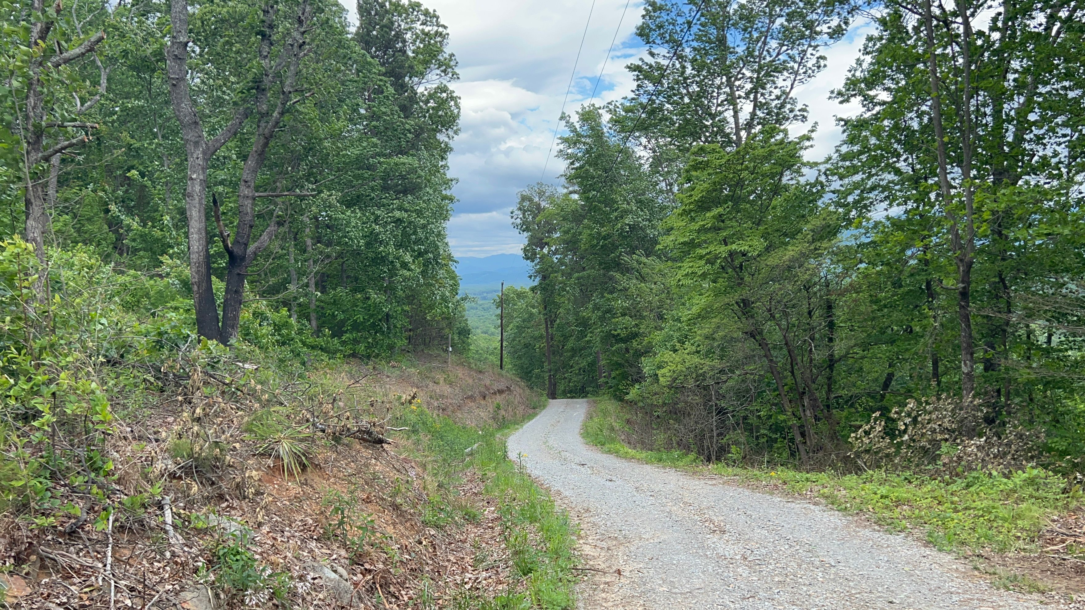 Black Mountain Lookout Camp