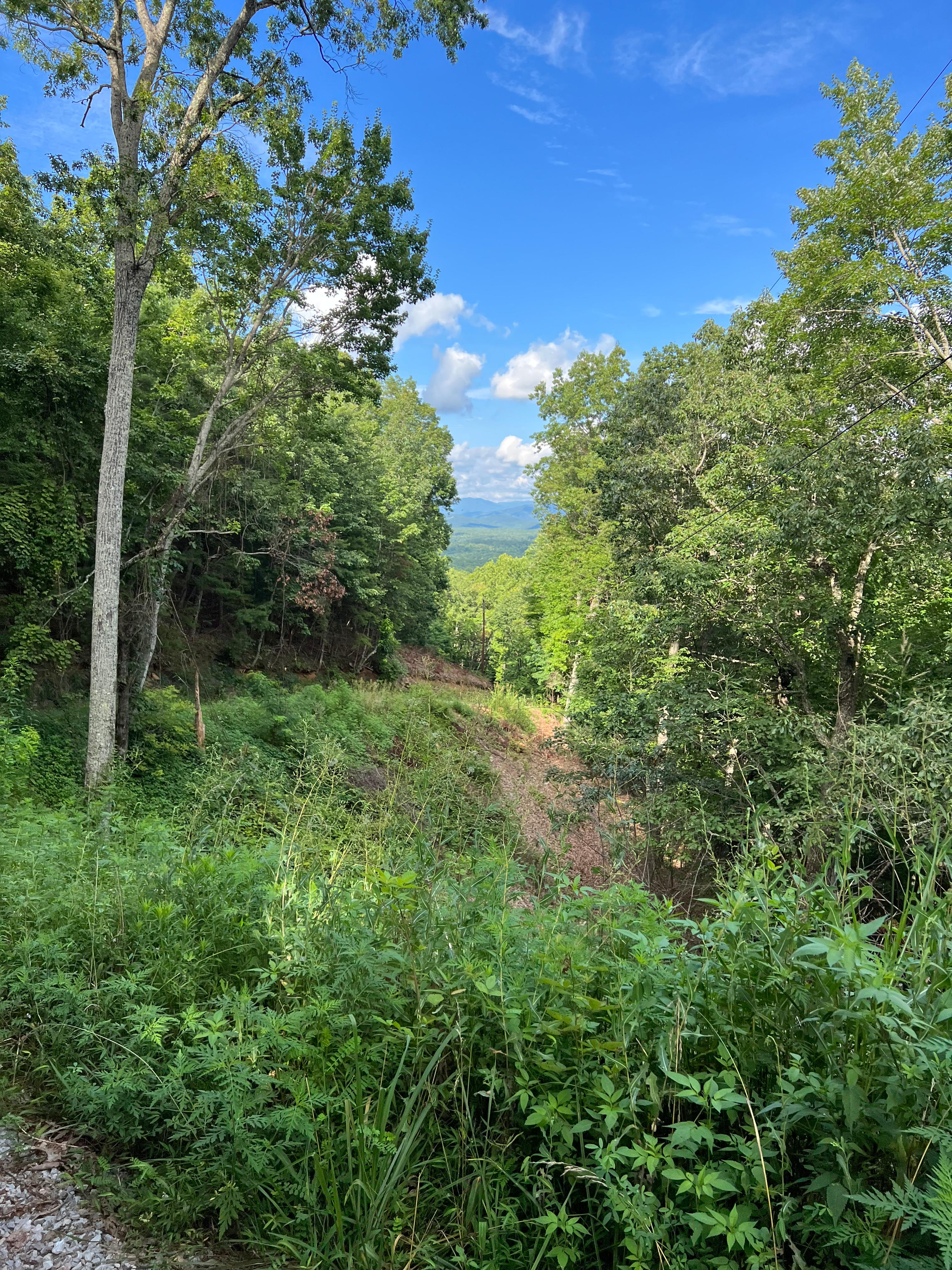 Black Mountain Lookout Camp