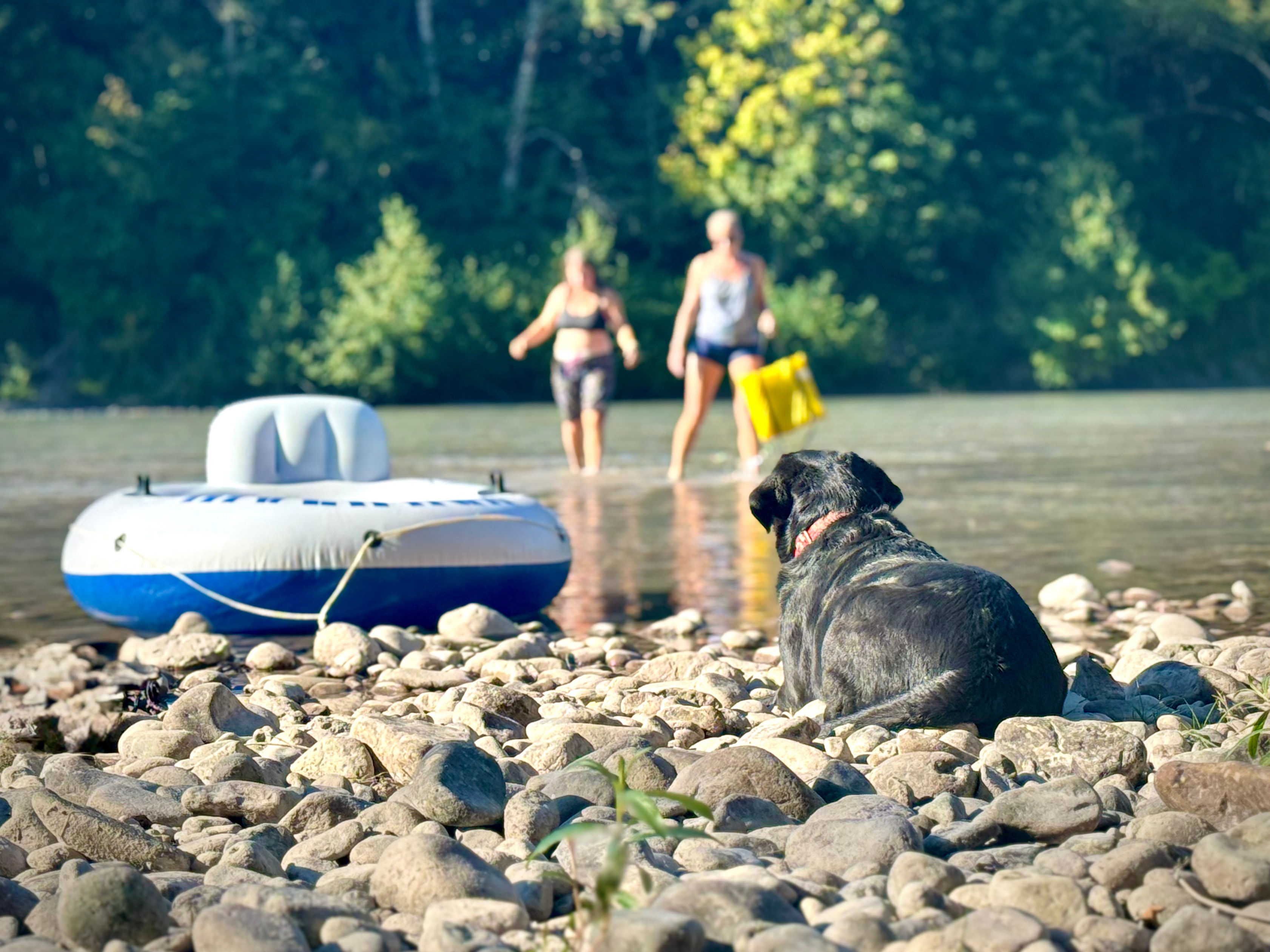 Glacier Rock Wellness Ranch