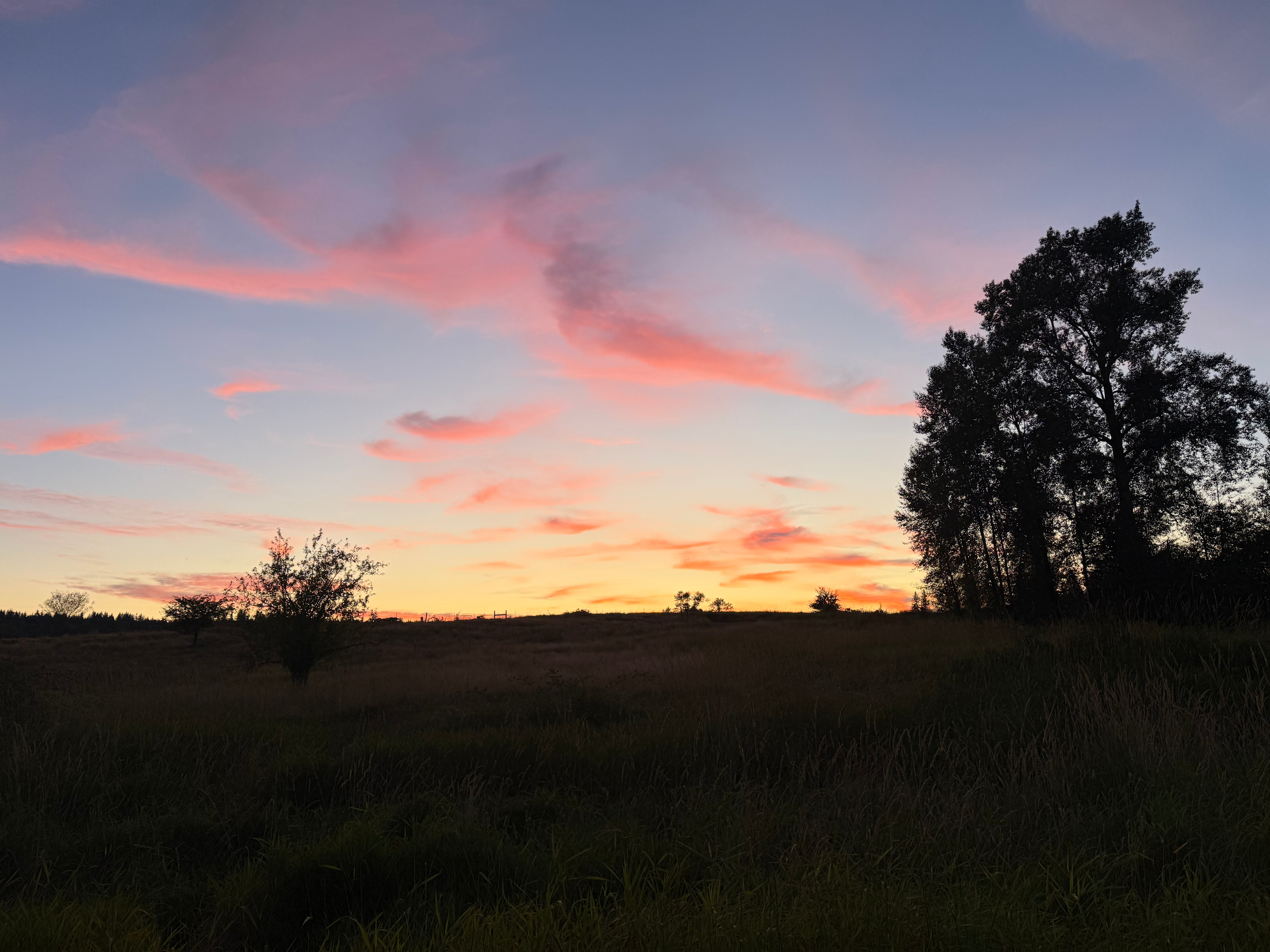 Mt. Baker National Recreation Area