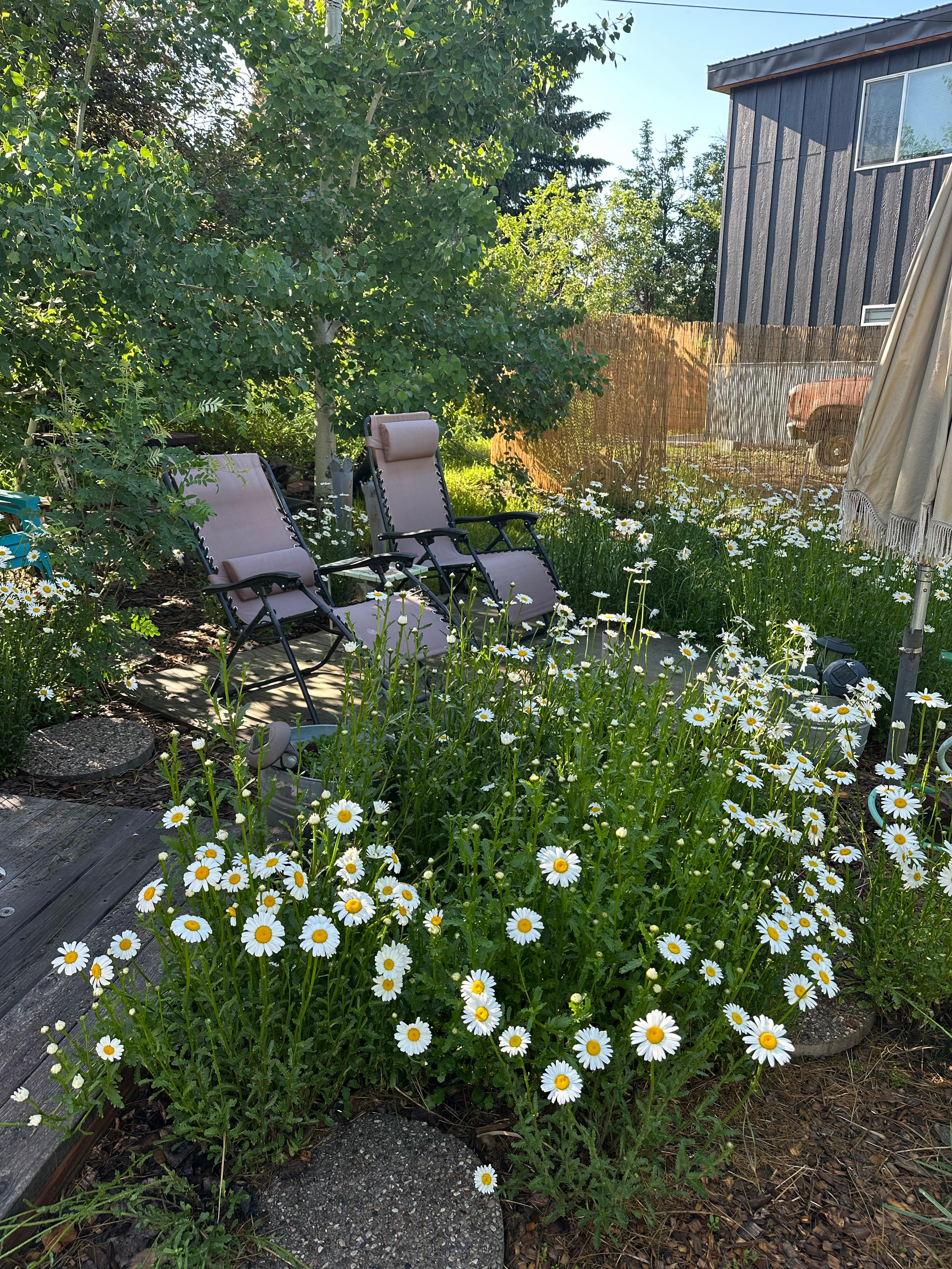 Tipi..Teepee In Historic Slabtown