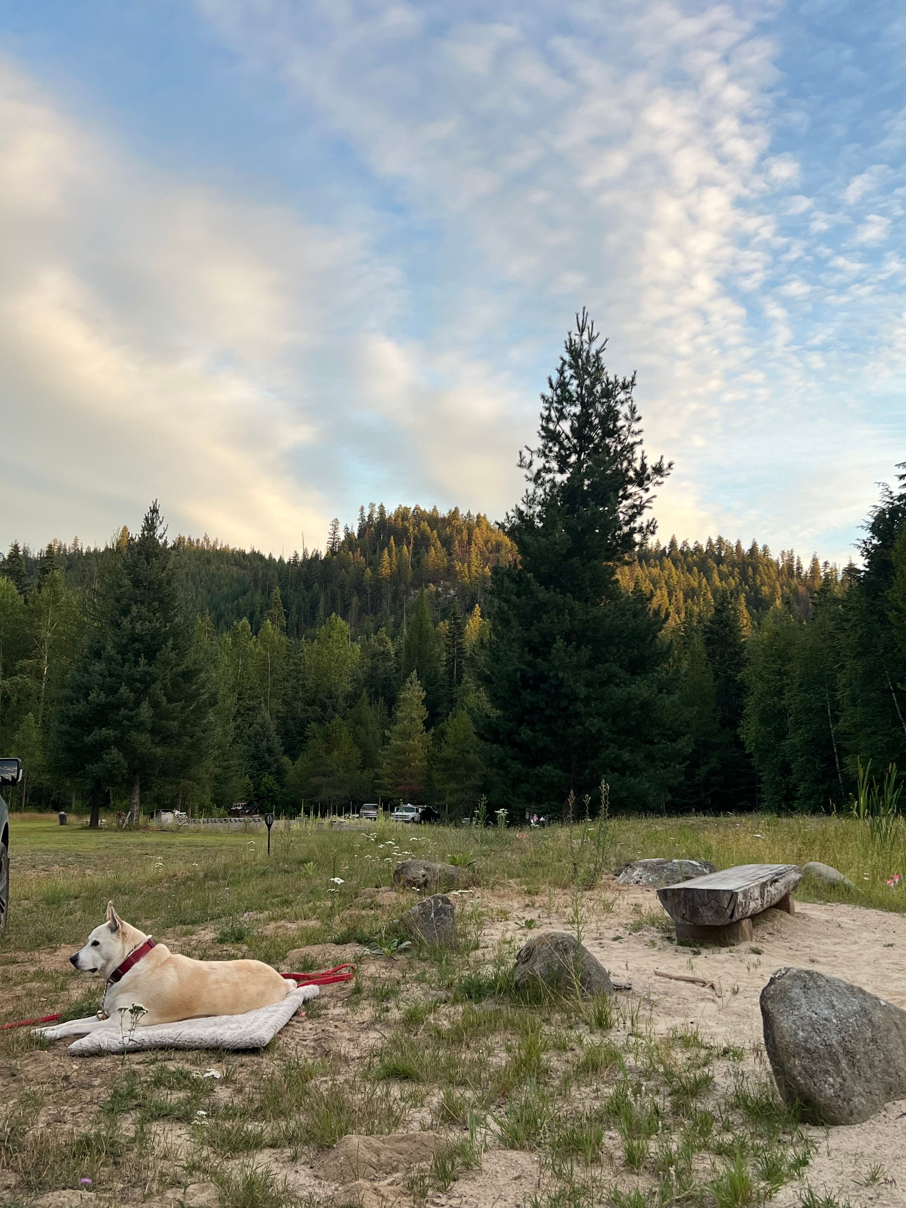 Nothing but wide open space with many colors of wildflowers. A beautiful property 