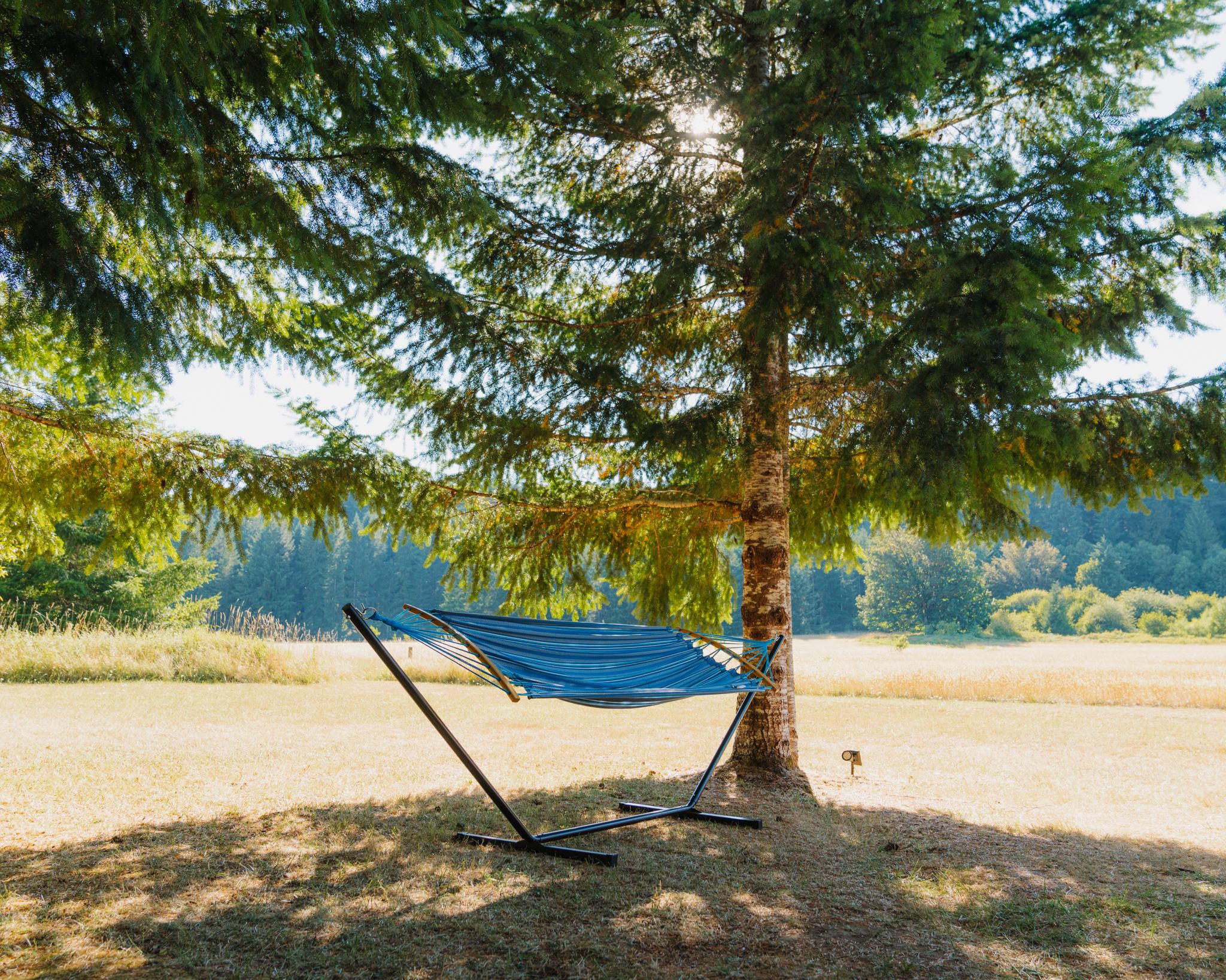 Hammock right outside tent 