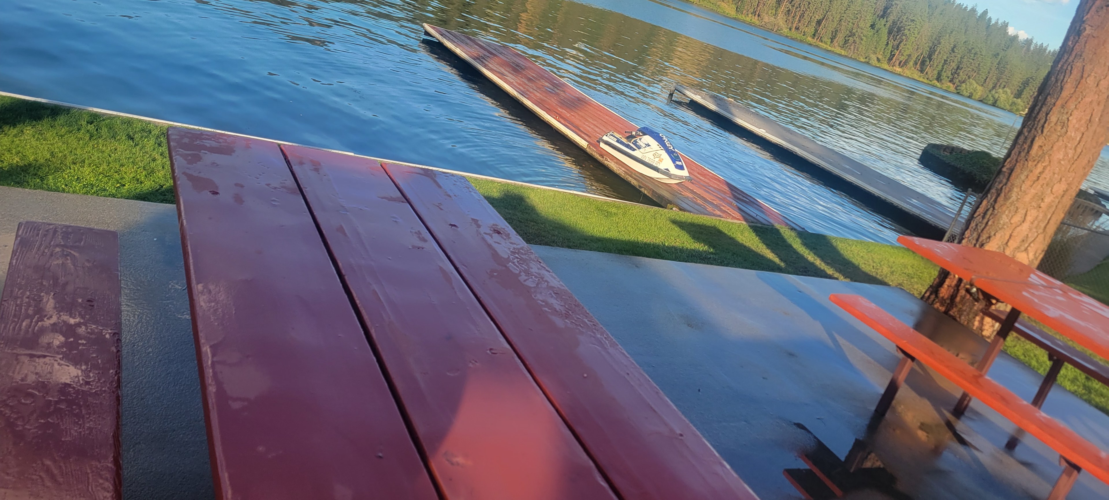 The Lake Place