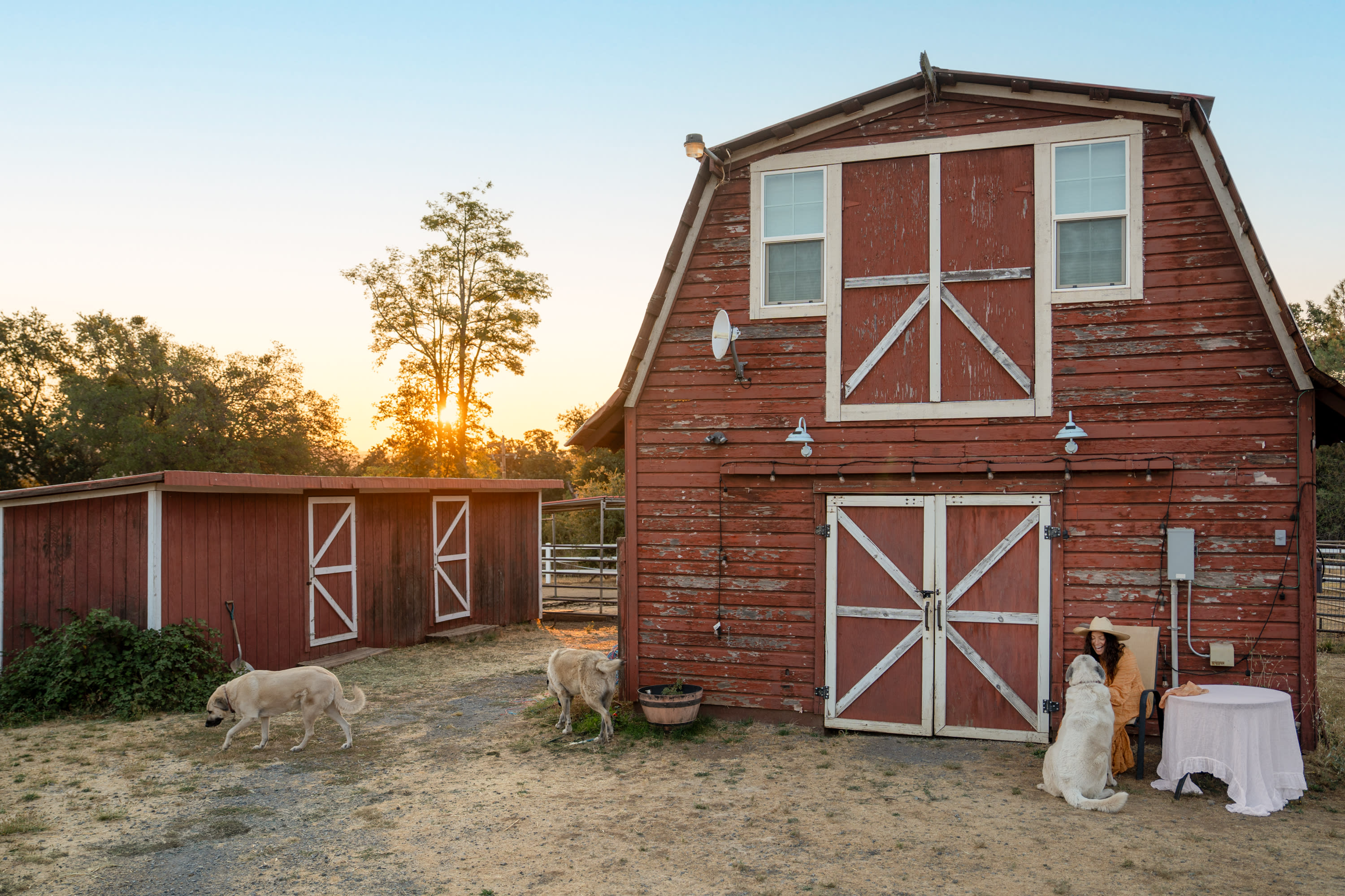 Stella, Teddy, and Hazel were the friendliest pups. We felt super safe with them roaming the property.