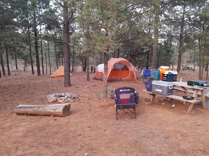 Camp of the Tall Pines
